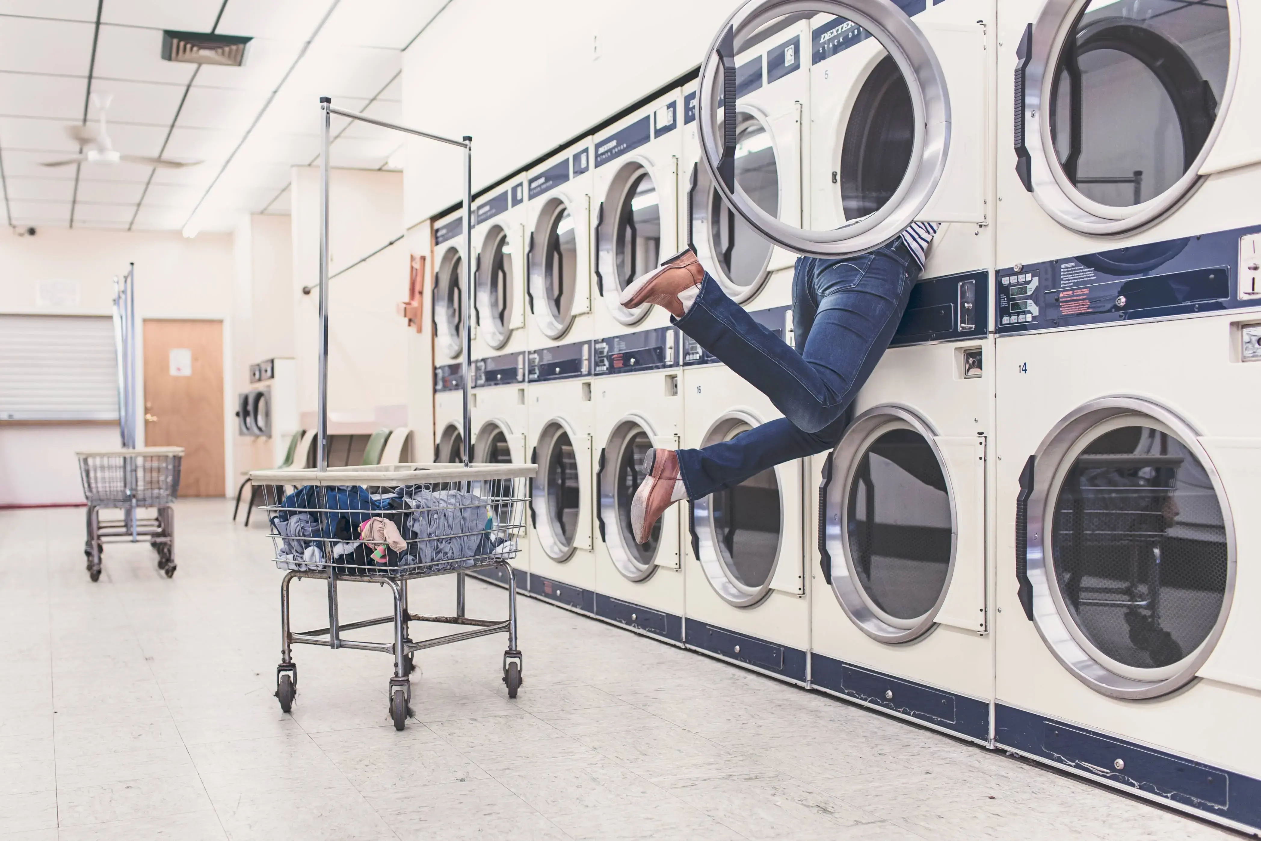 Rinse and Roll Laundry thumbnail 18