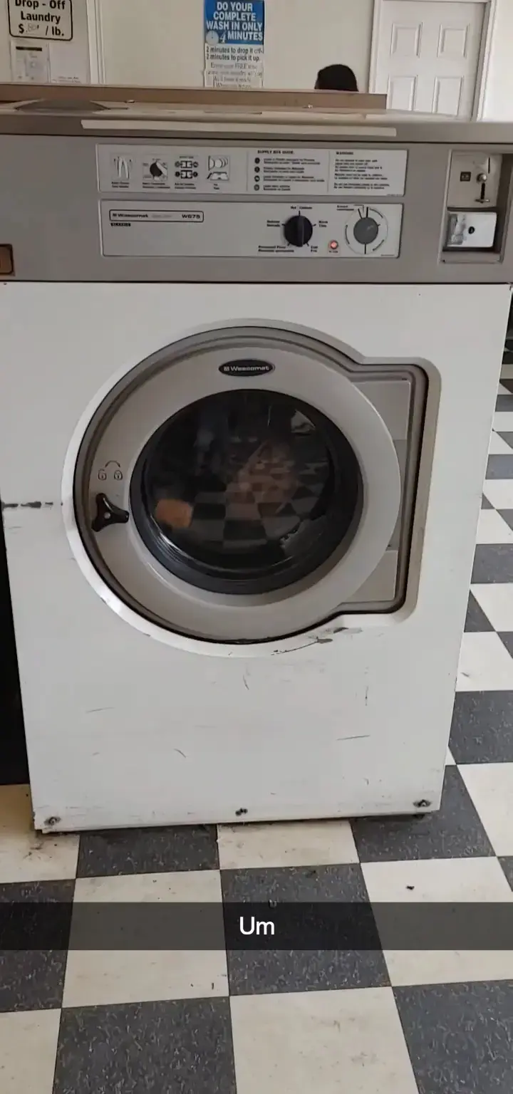 River Edge Coin Laundromat - Image 3