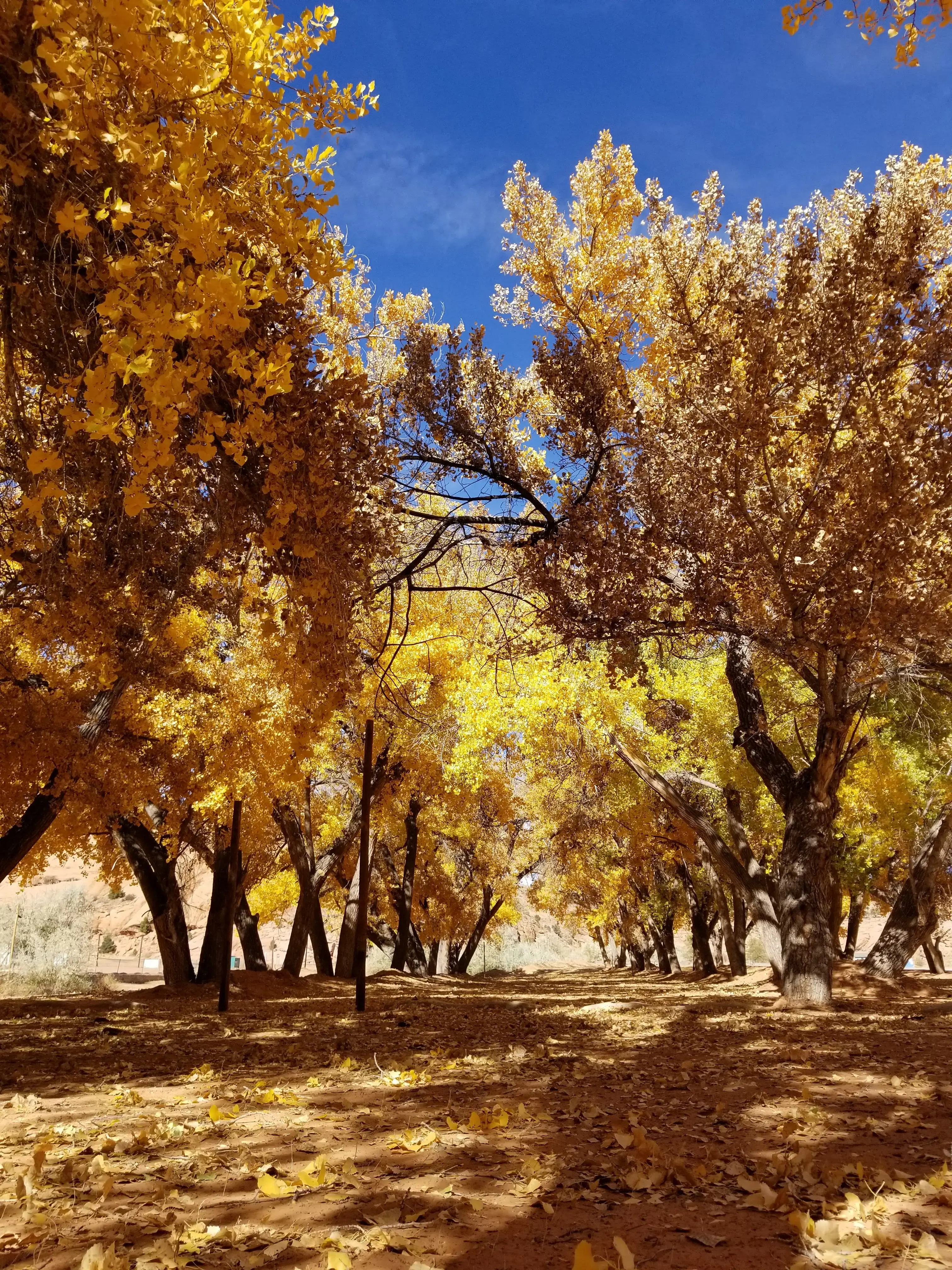 RM Laundromat - Image 16