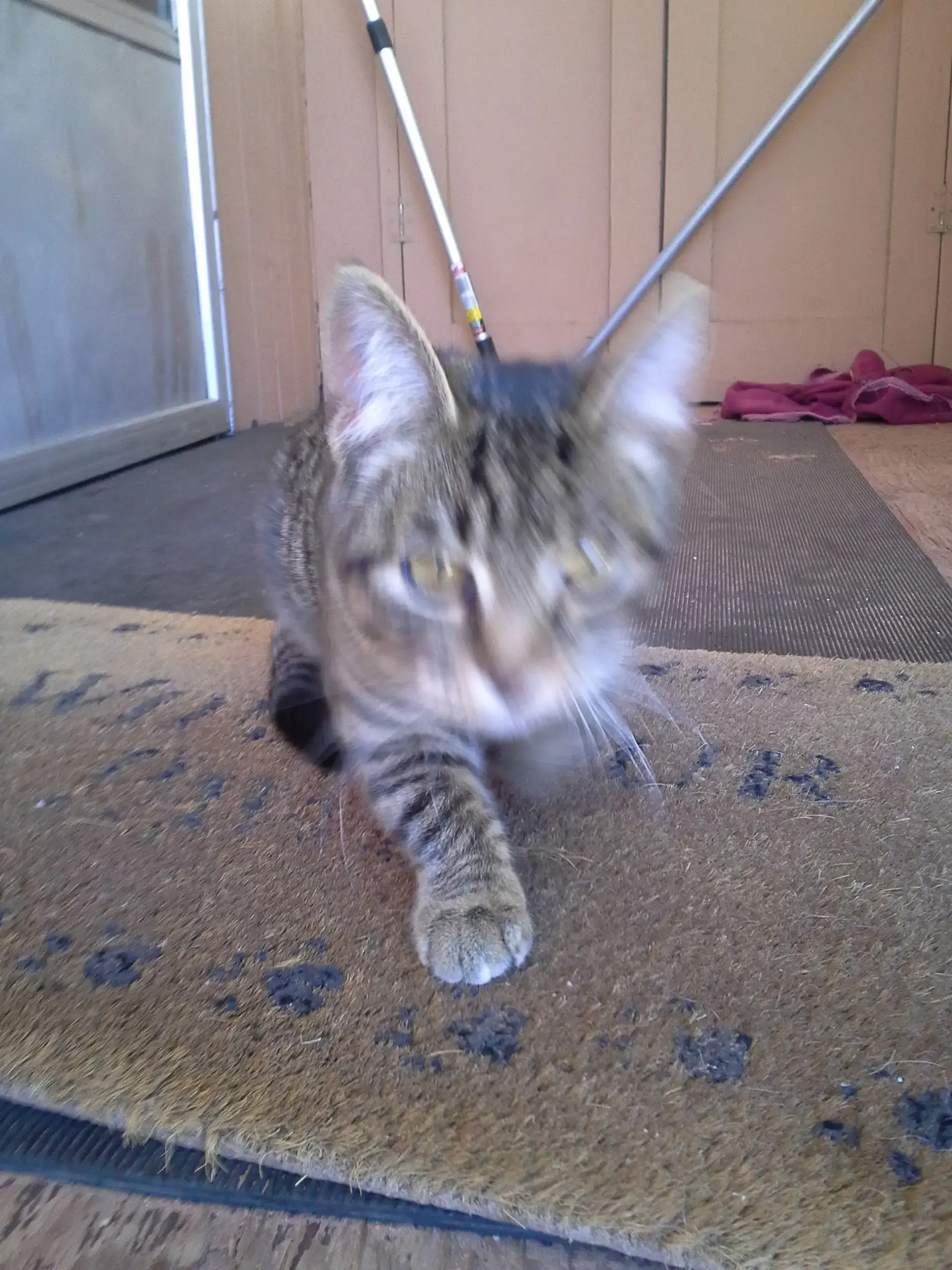 RM Laundromat - Image 8