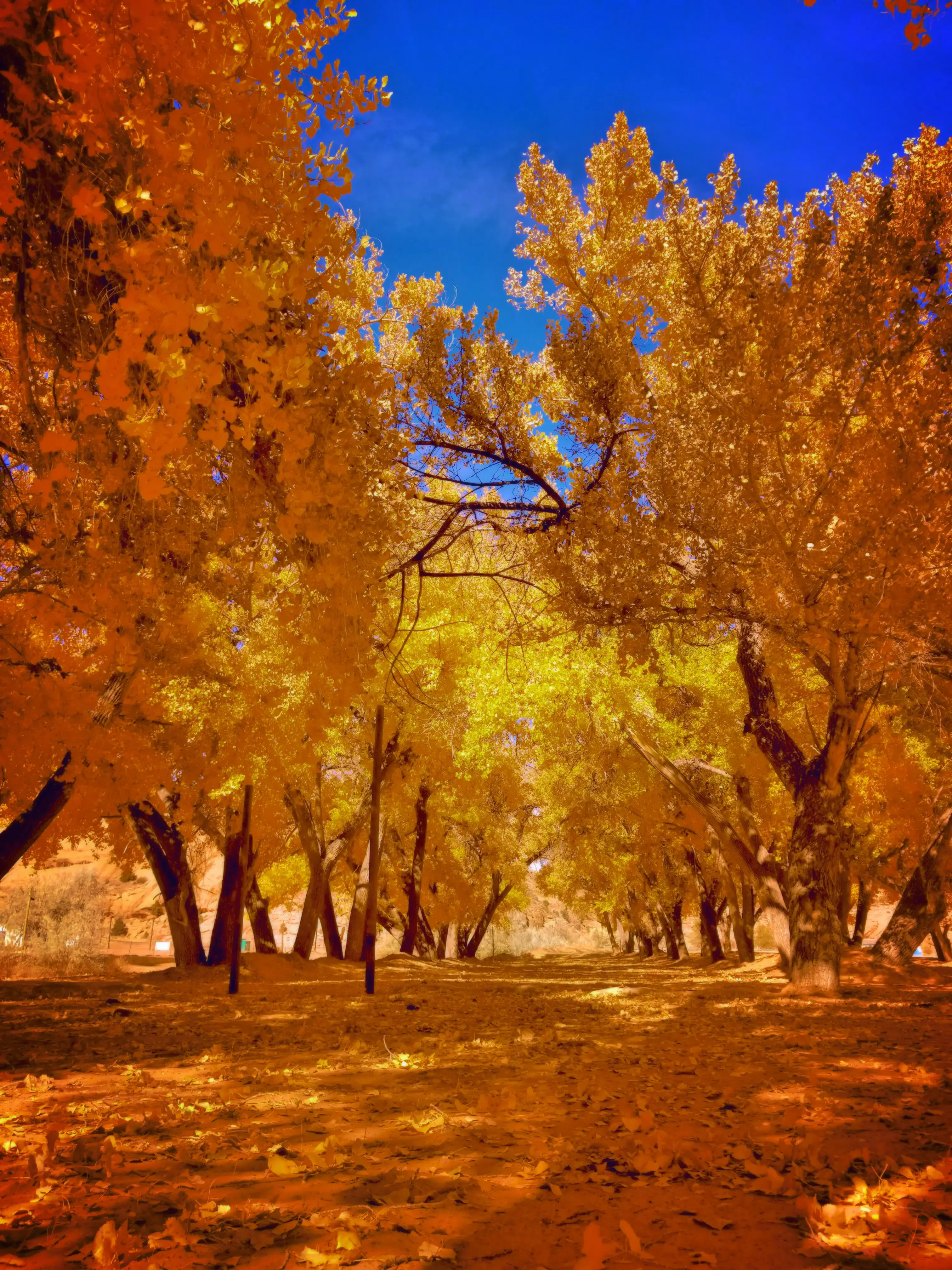 RM Laundromat - Image 11