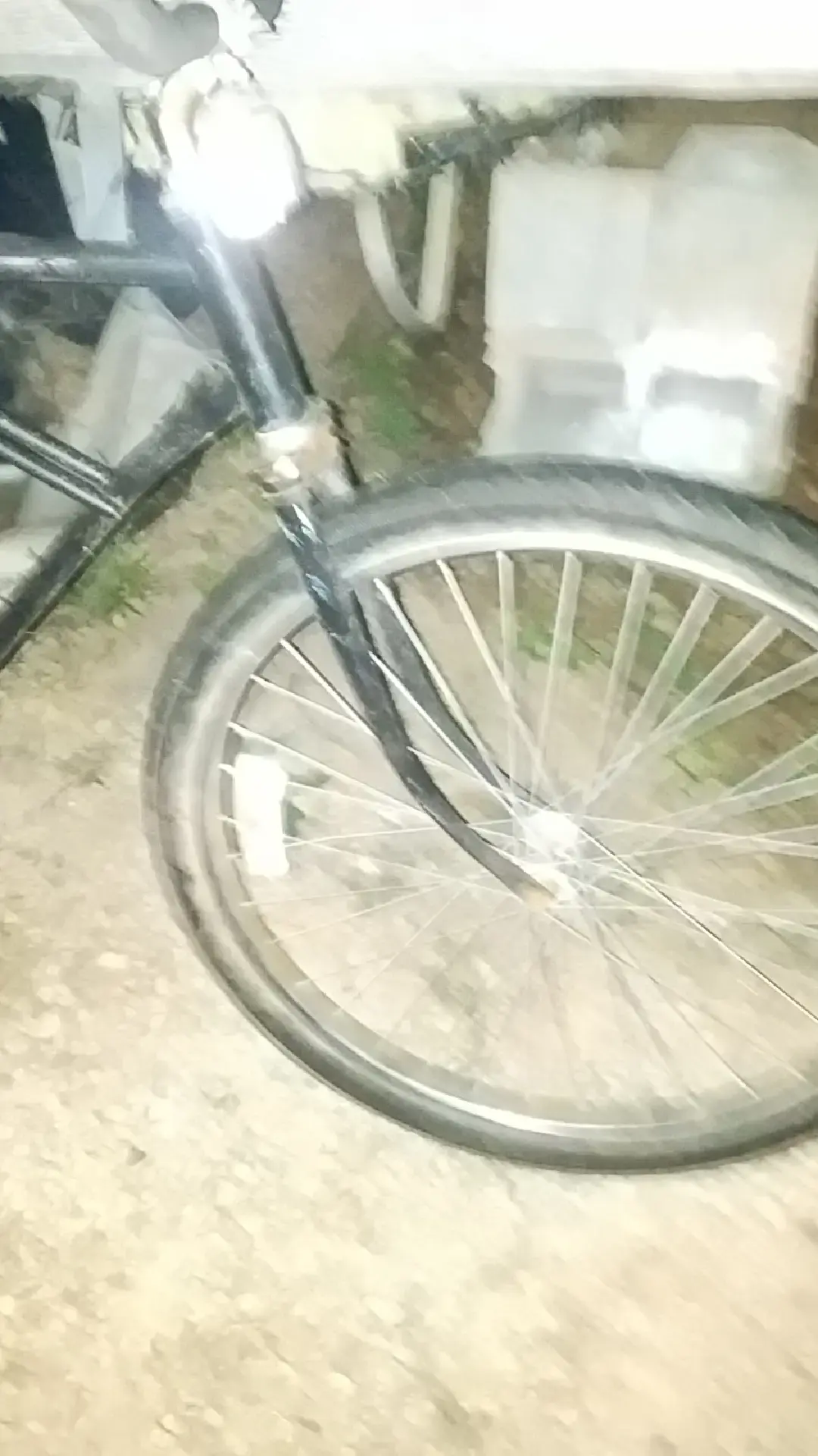 Roanoke Laundromat thumbnail 2