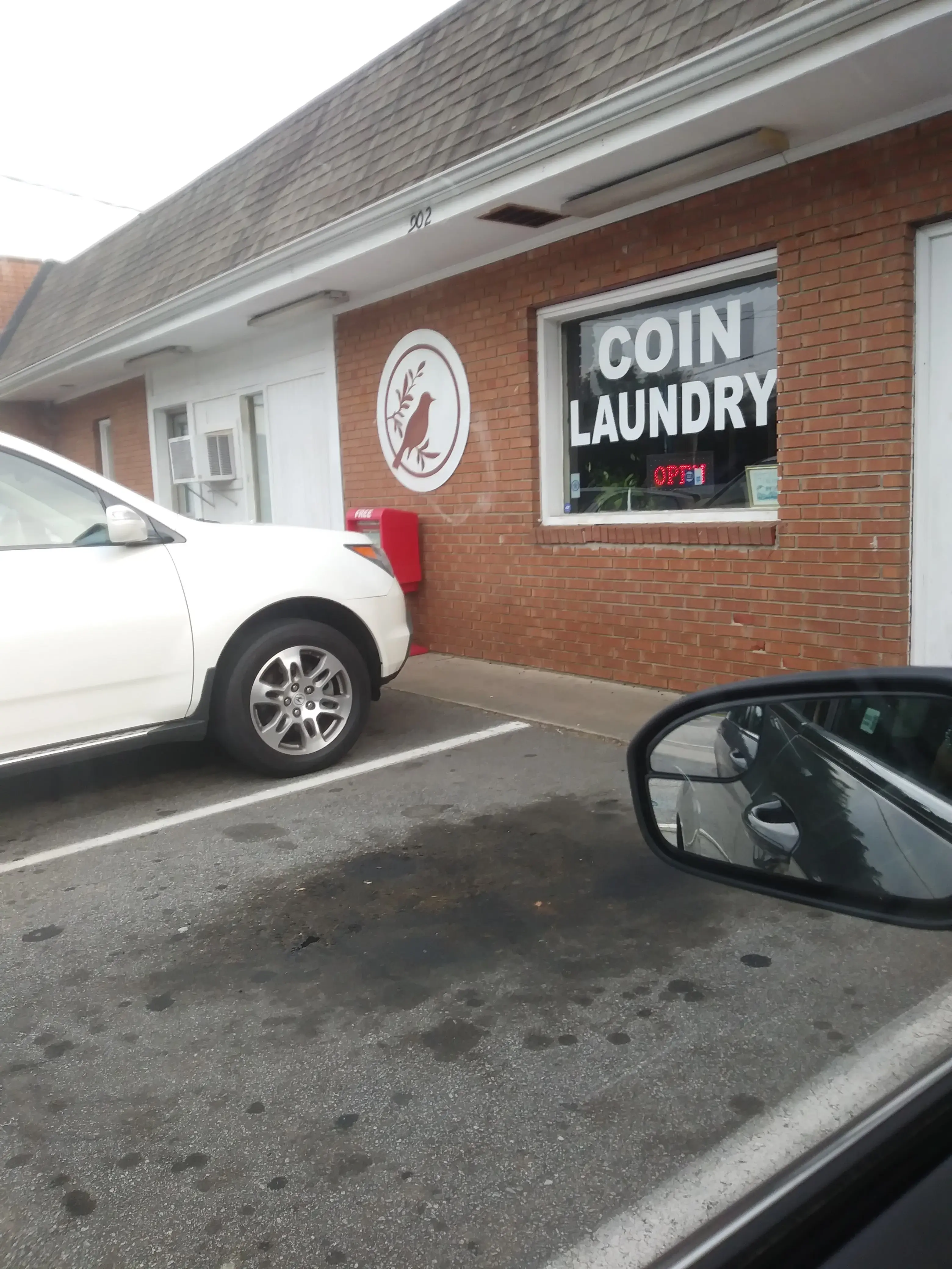 Robin's Laundry - Image 3