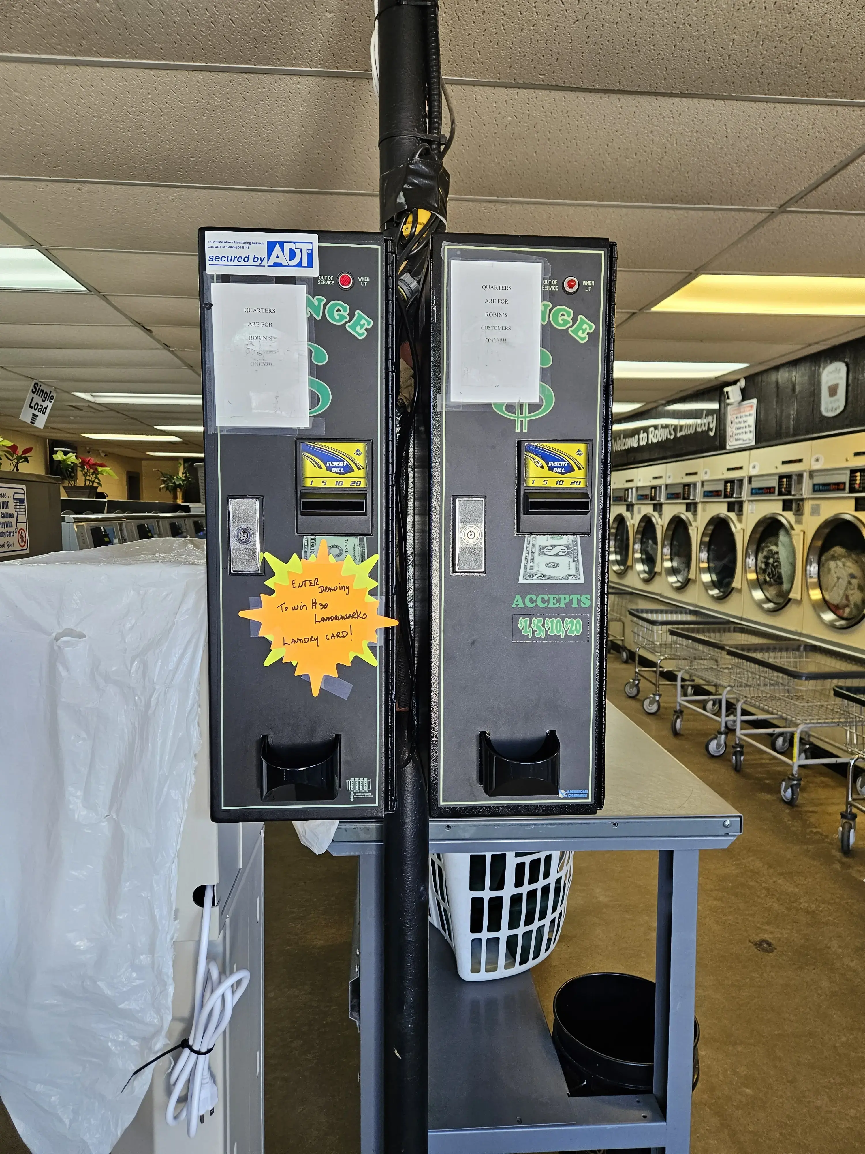 Robin's Laundry - Image 8