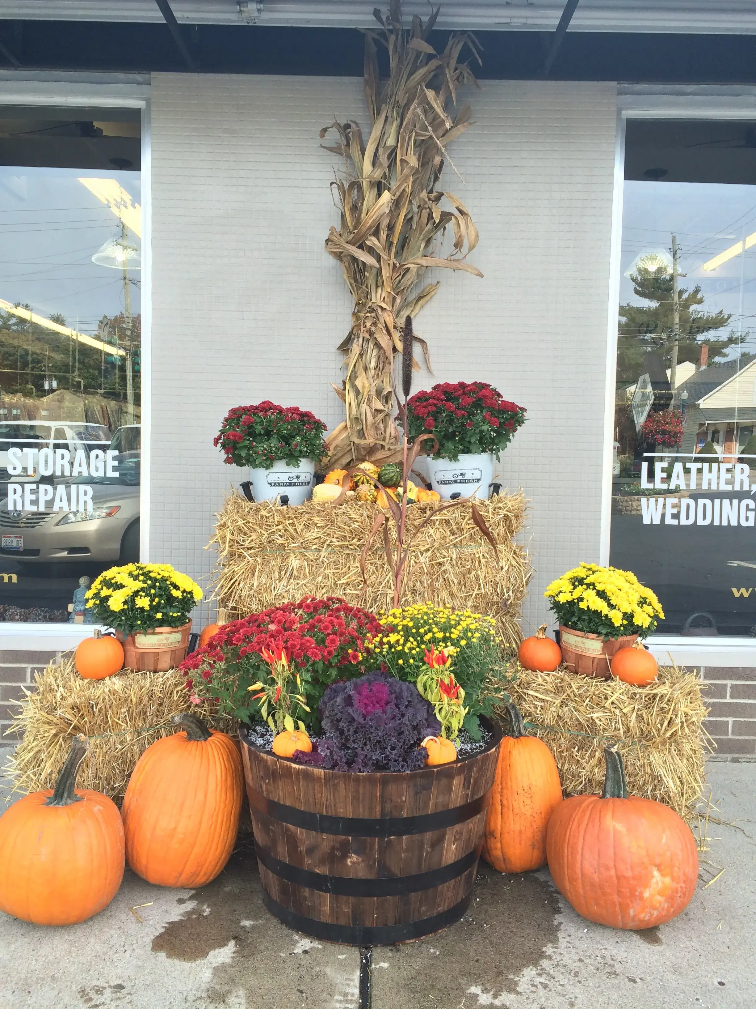 Rockwood Dry Cleaners - Image 11