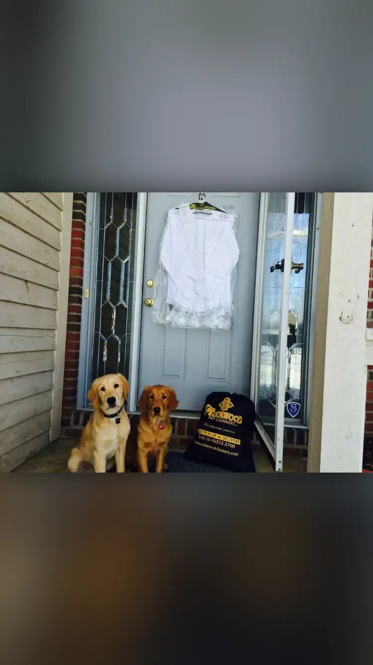 Rockwood Dry Cleaners - Image 17