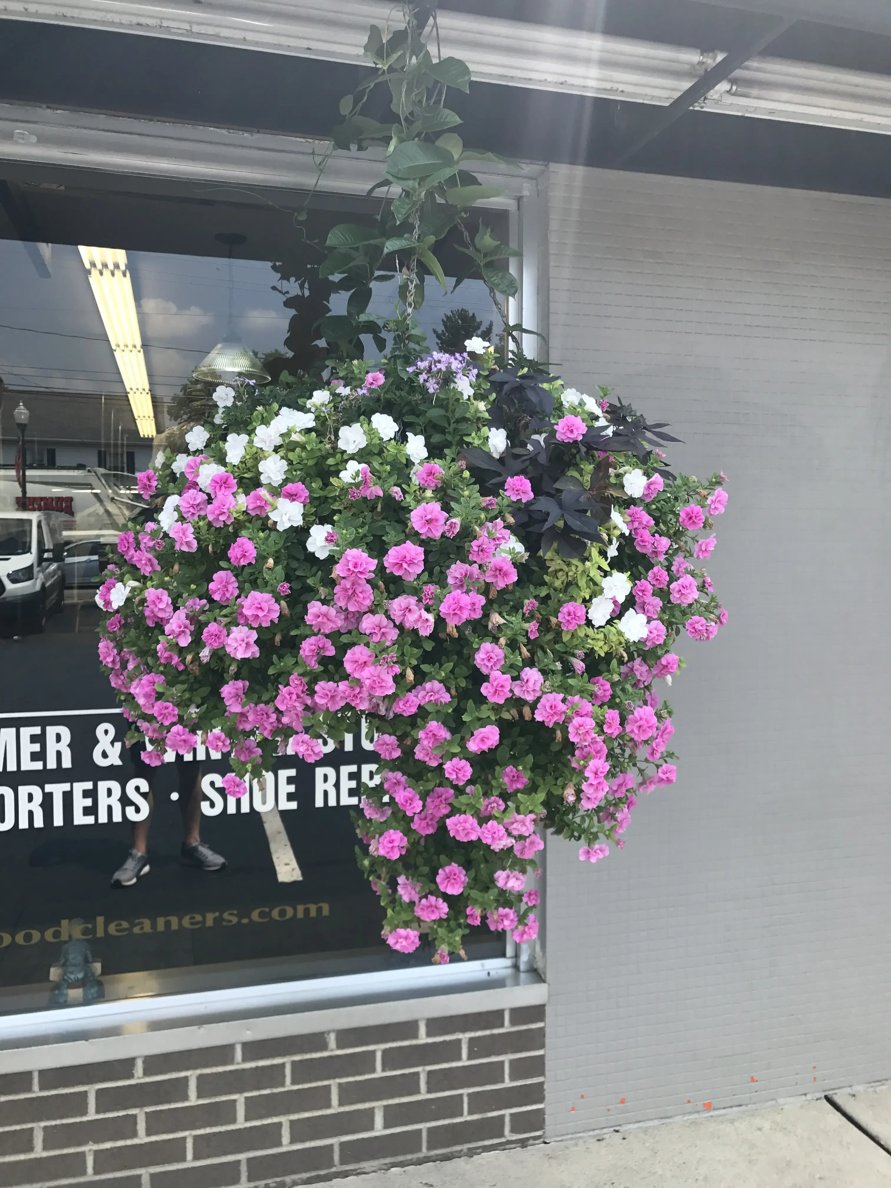 Rockwood Dry Cleaners - Image 13