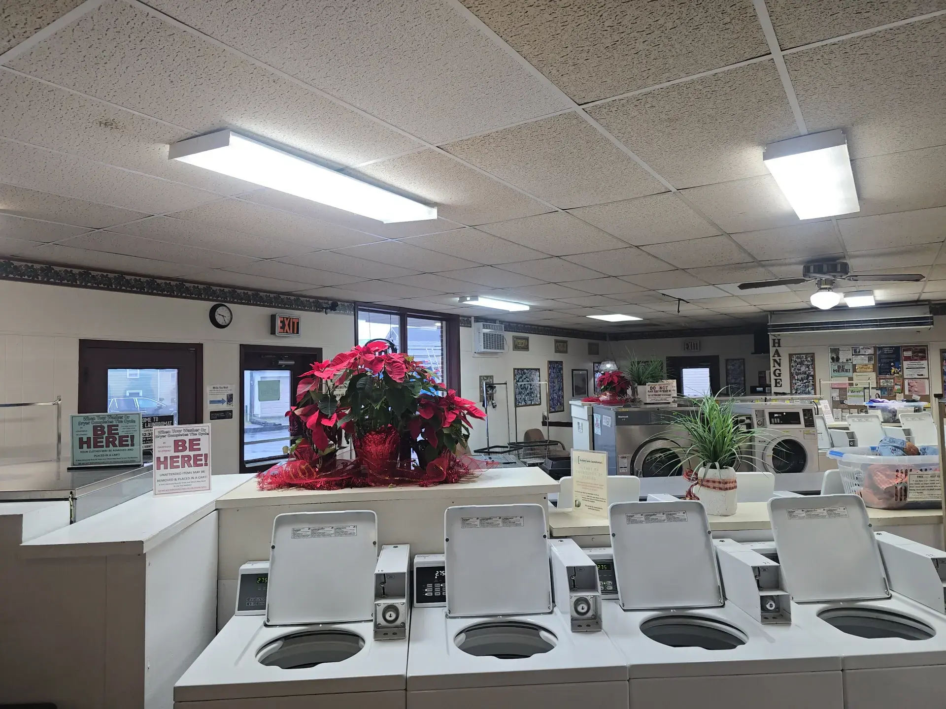 Rodney Lane Laundromat thumbnail 4