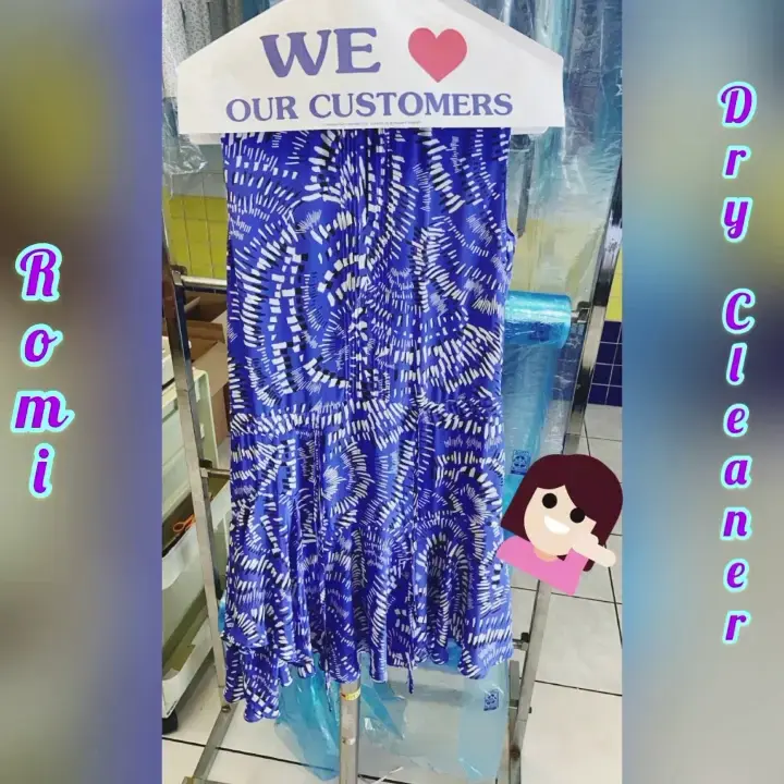 Romi Cleaners - Image 12