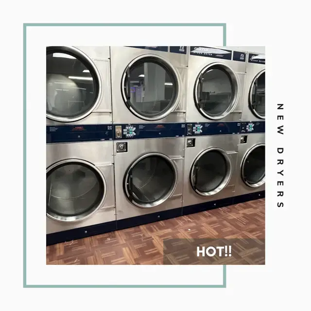 Romie Lane Laundry thumbnail 4