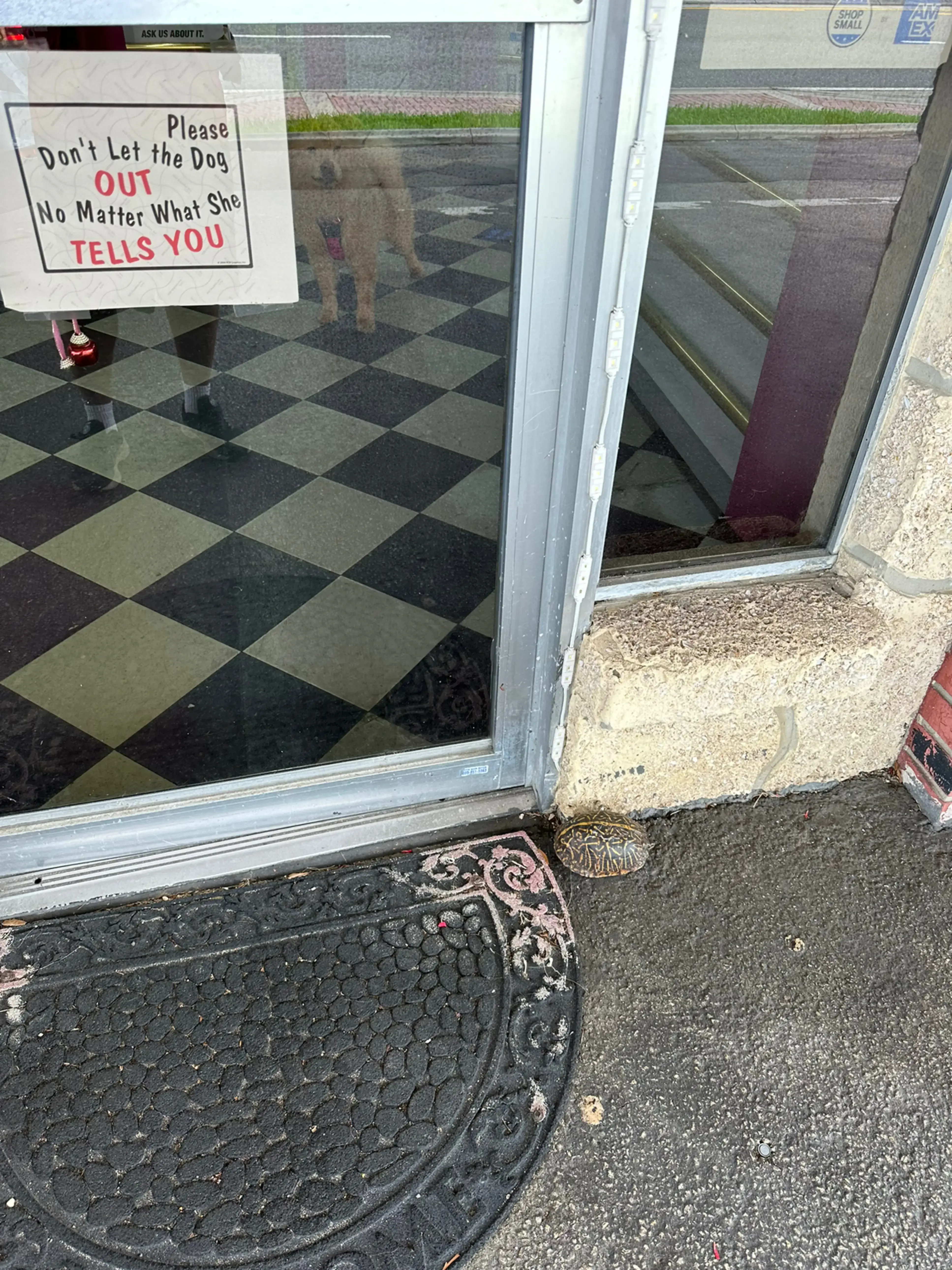 Romie's Cleaners - Image 15