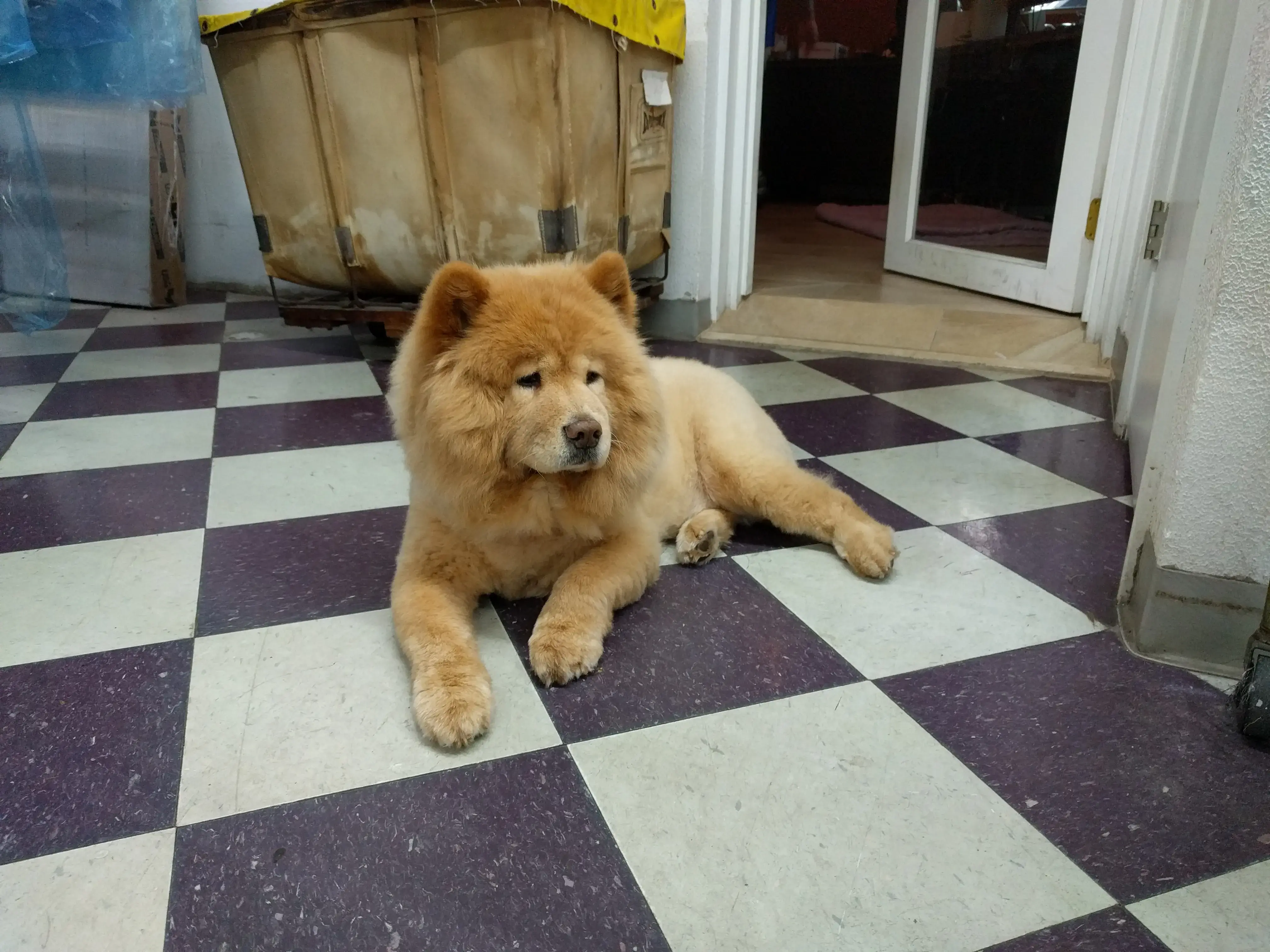 Romie's Cleaners - Image 5