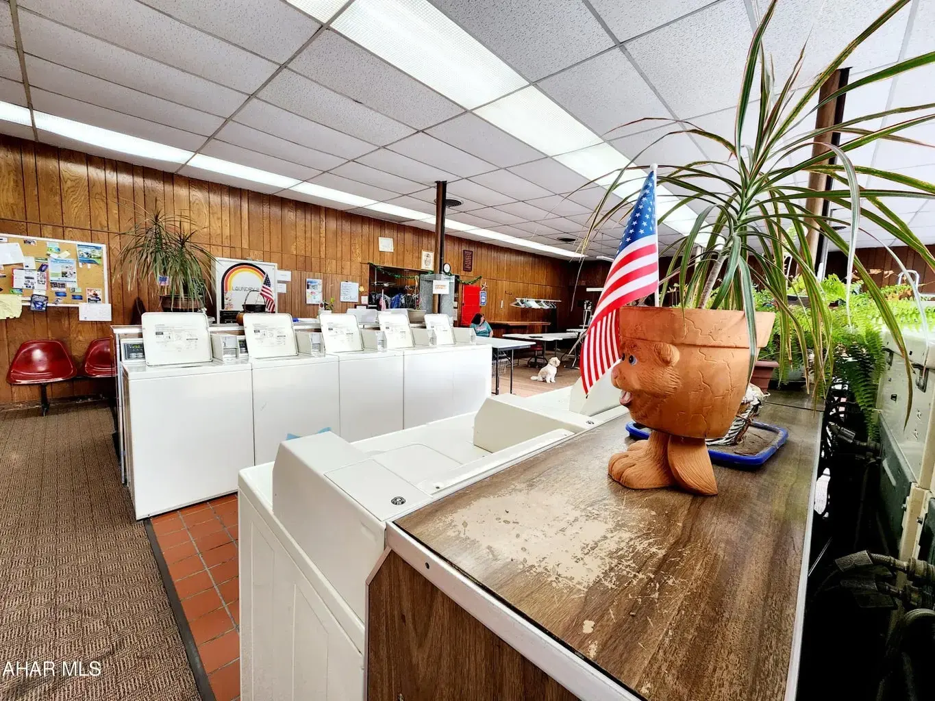 Rose Dry Cleaners & Laundromat thumbnail 16