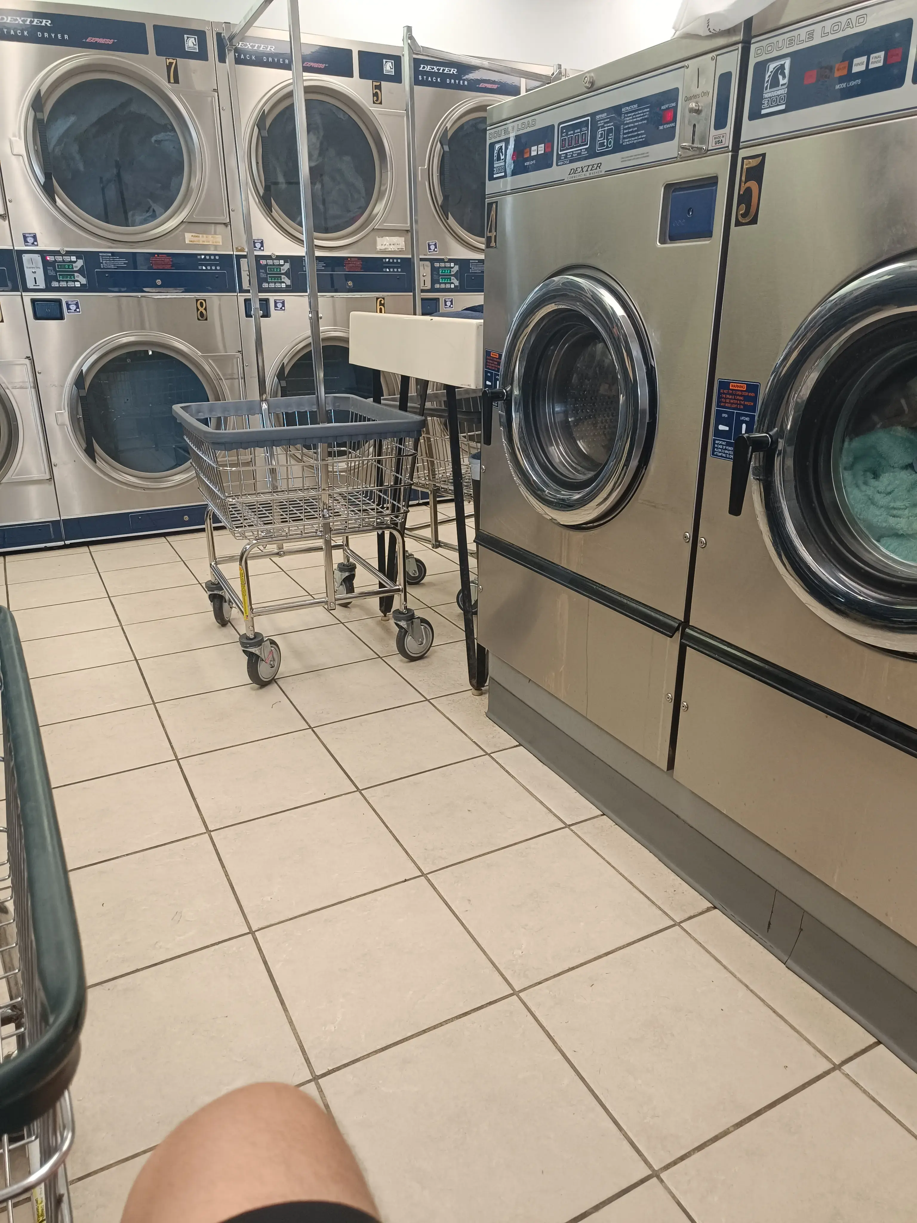Rose Laundromat thumbnail 7