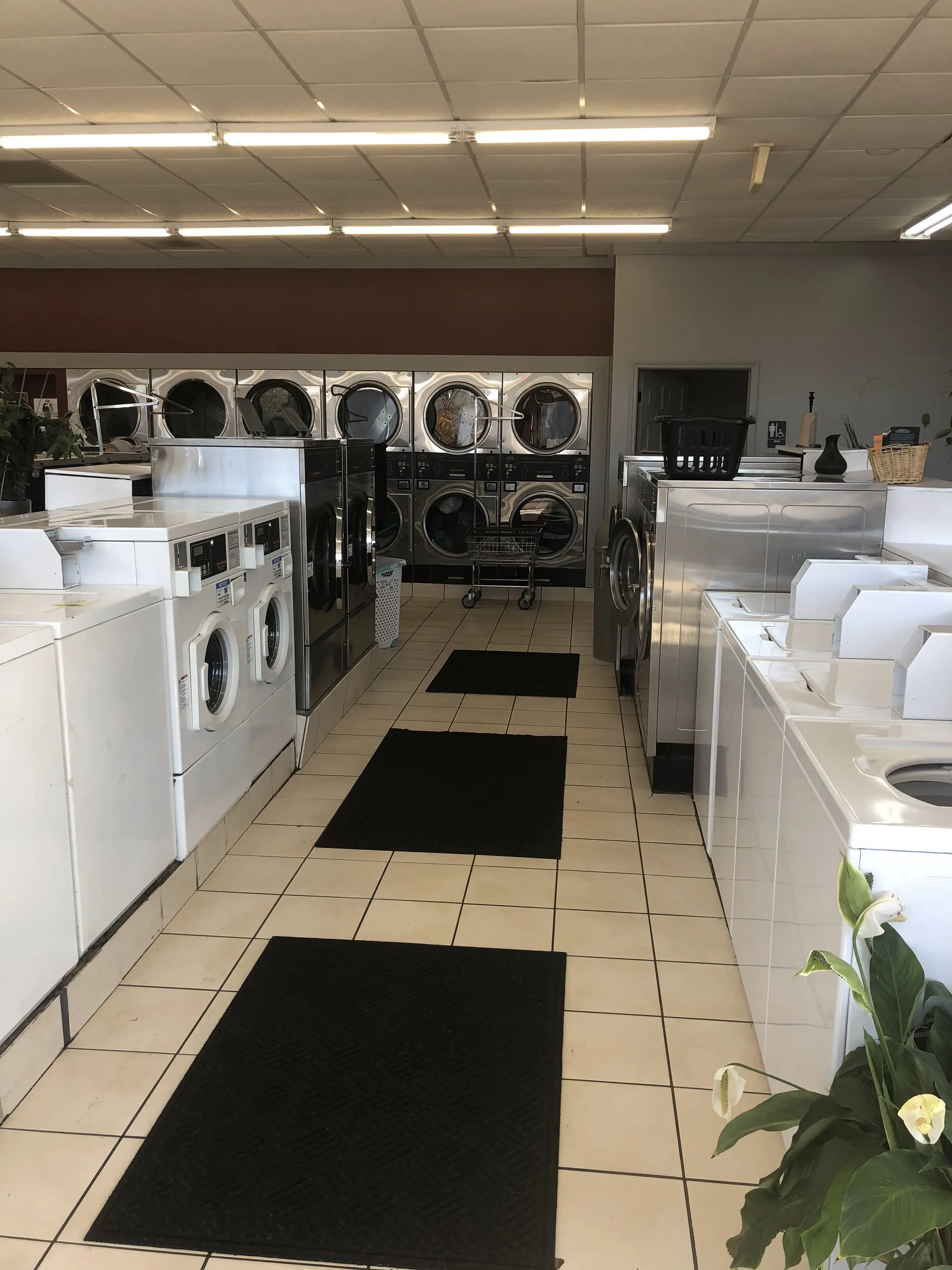 Rossford Laundry & Tan thumbnail 17