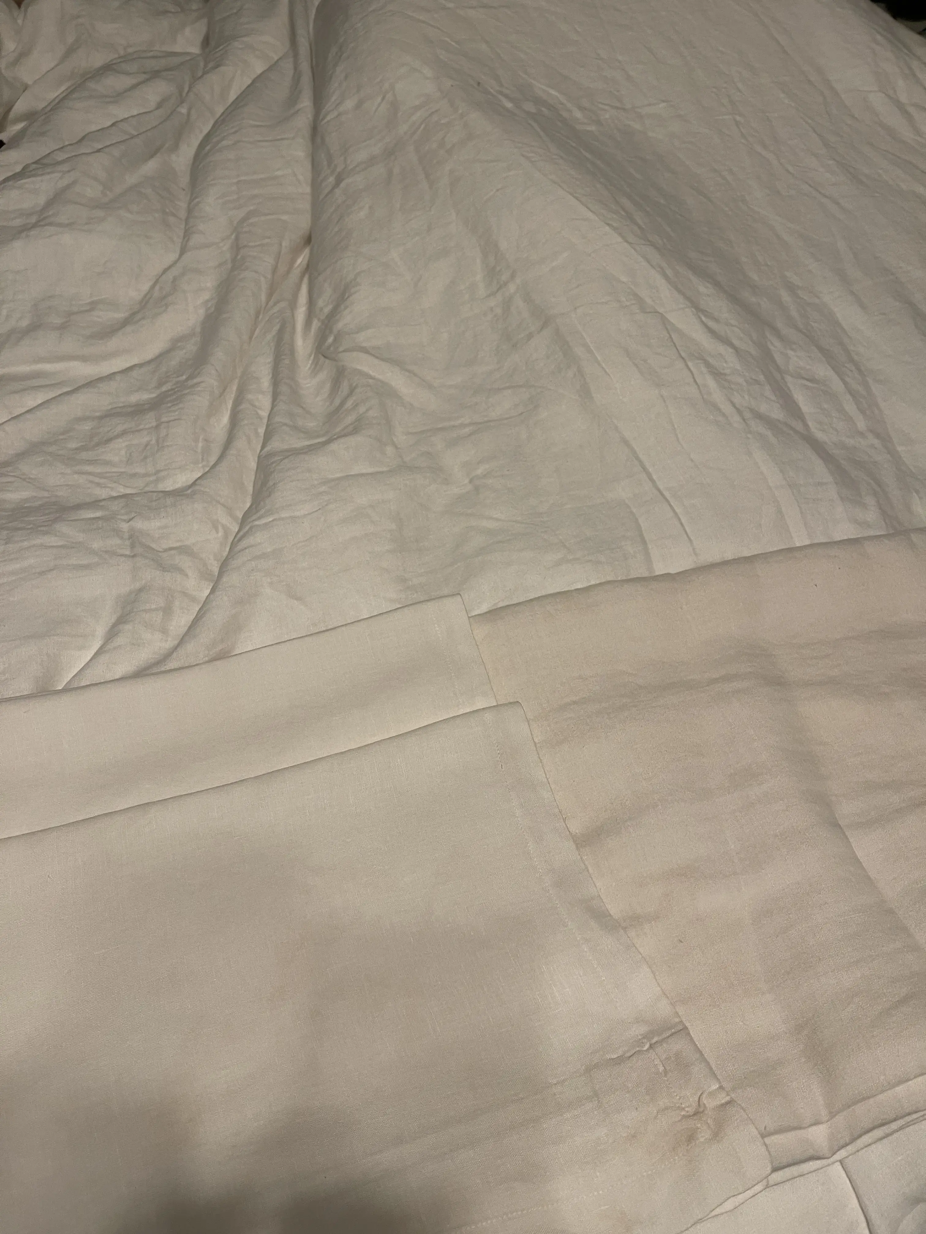 Royal Cleaners - Image 4