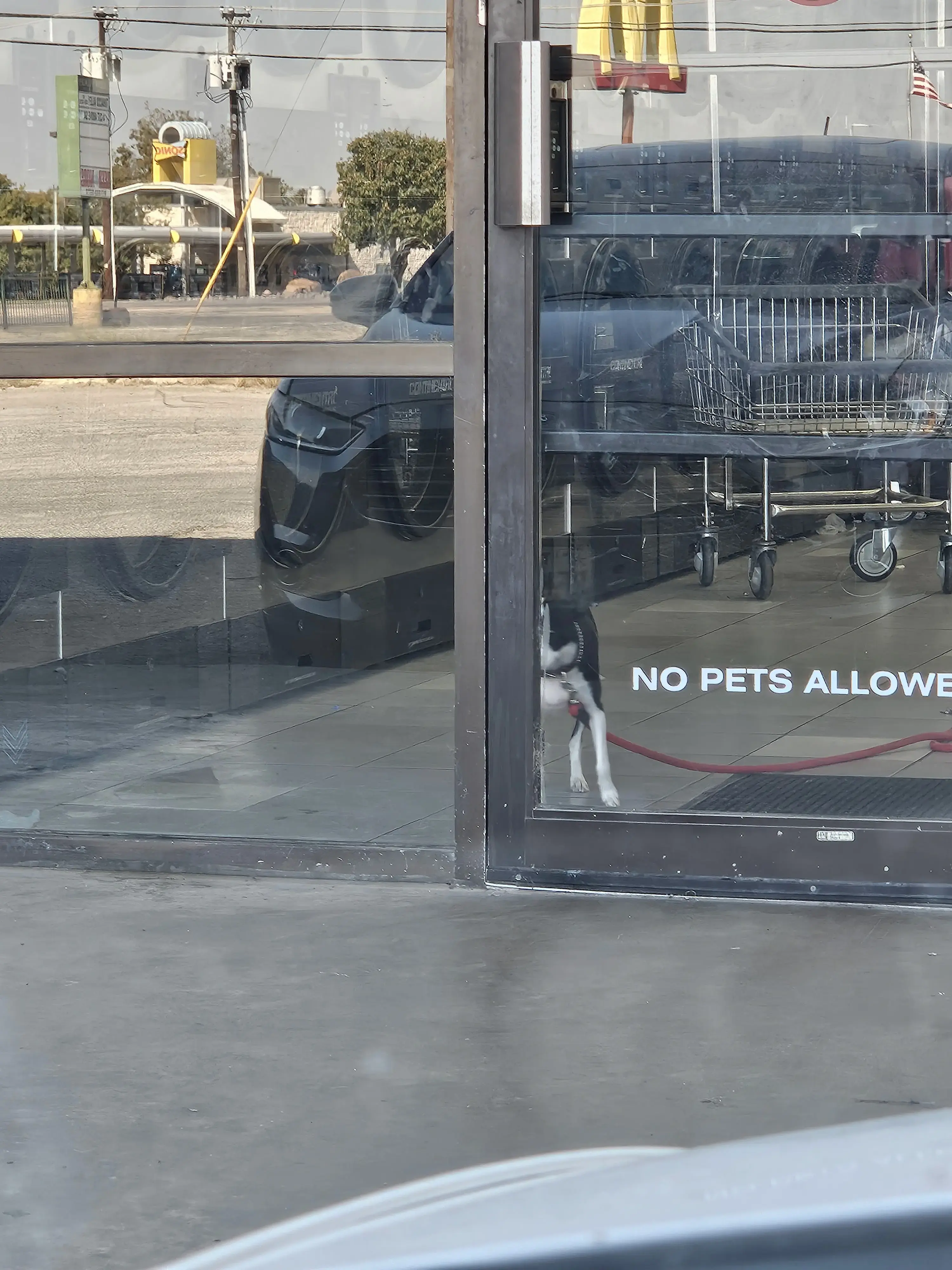 Roy's Wash N Dry - Image 16