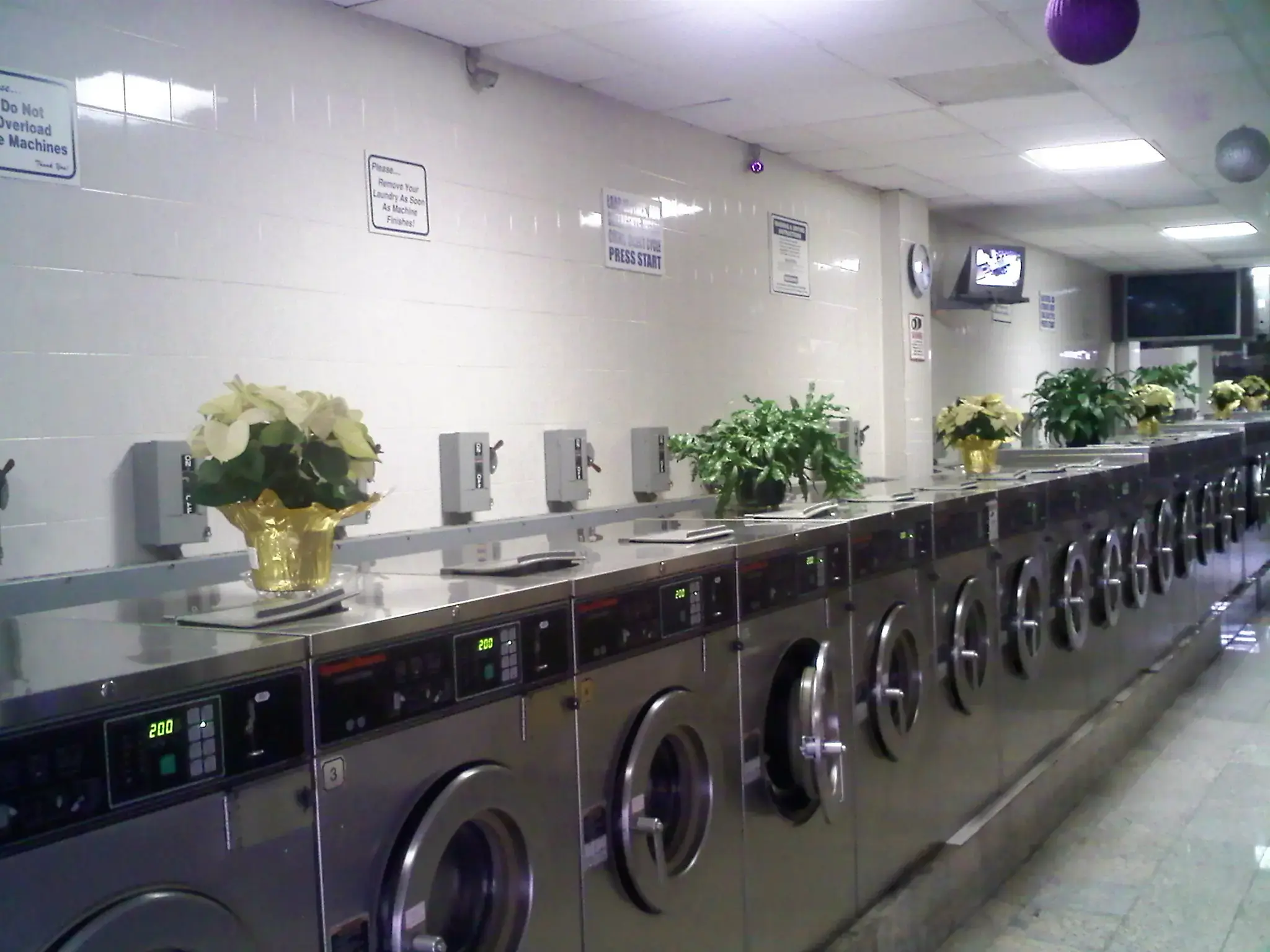 Ryanna Laundromat thumbnail 19