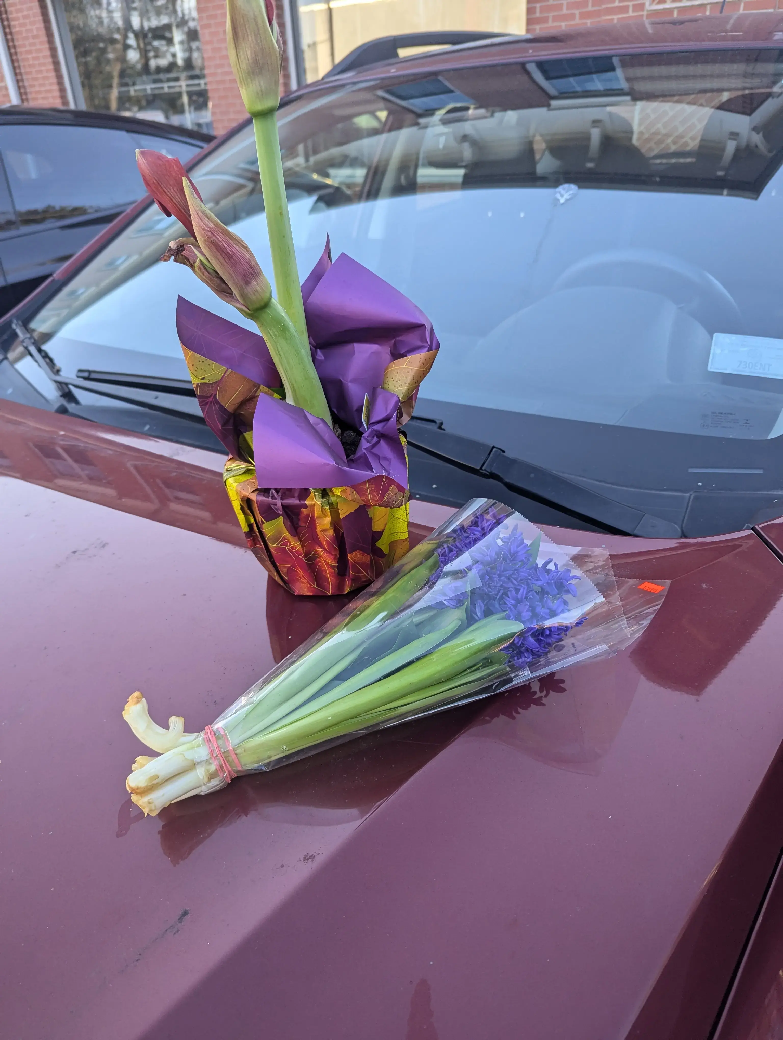 Sanda's Cleaners - Image 3