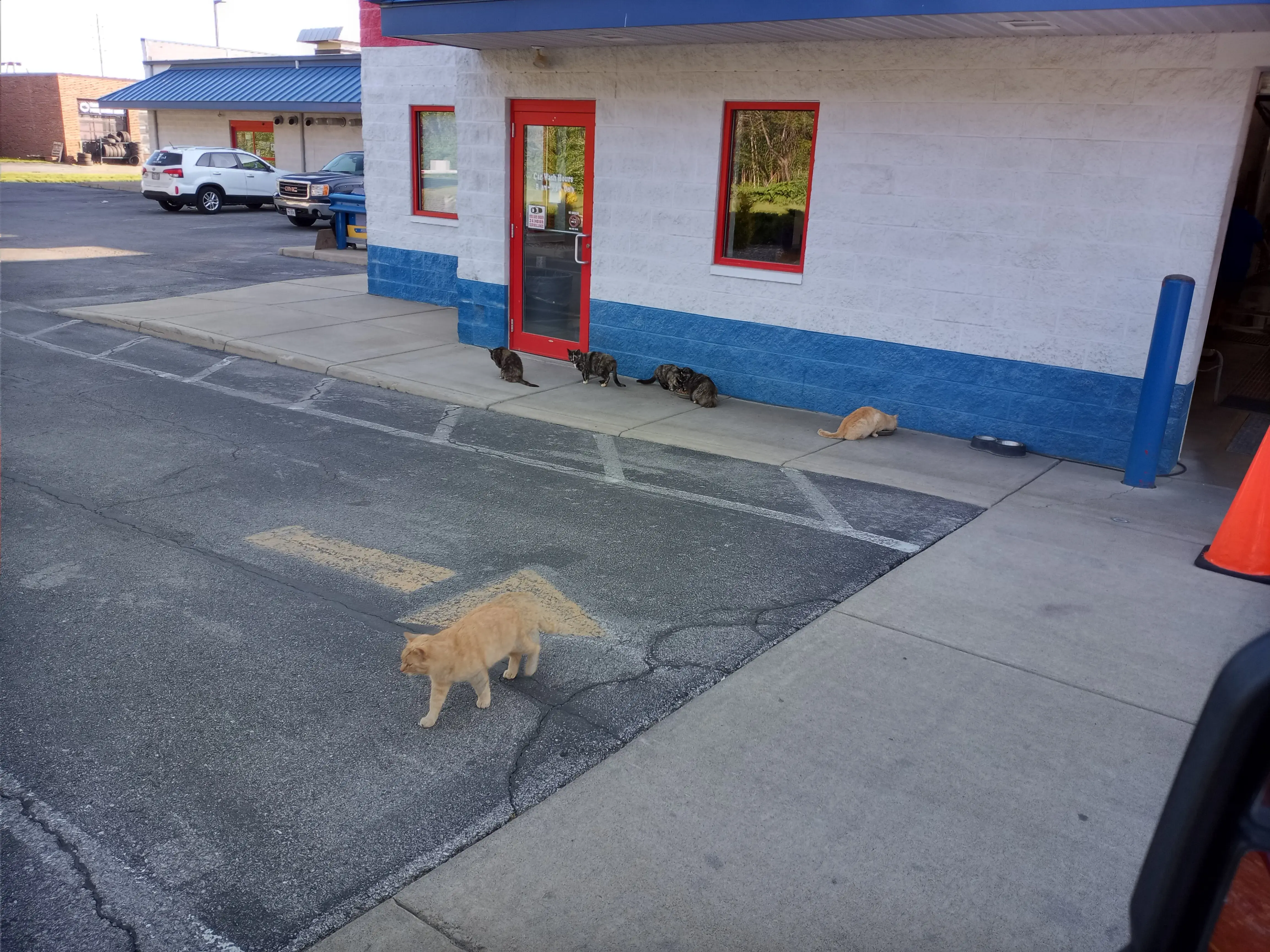 Sandusky Clean Scene - Image 5