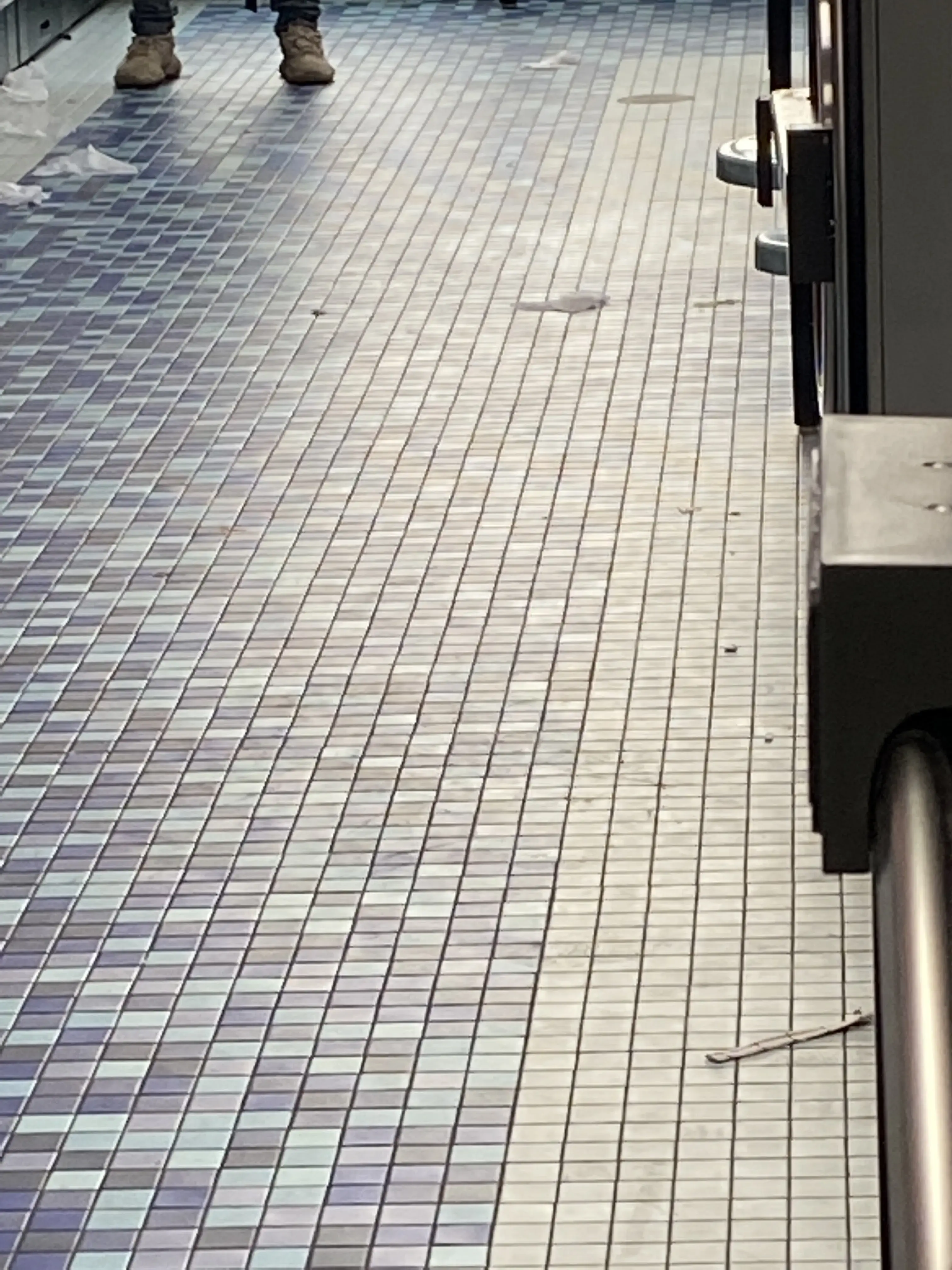 Sanitary Suds - Image 12