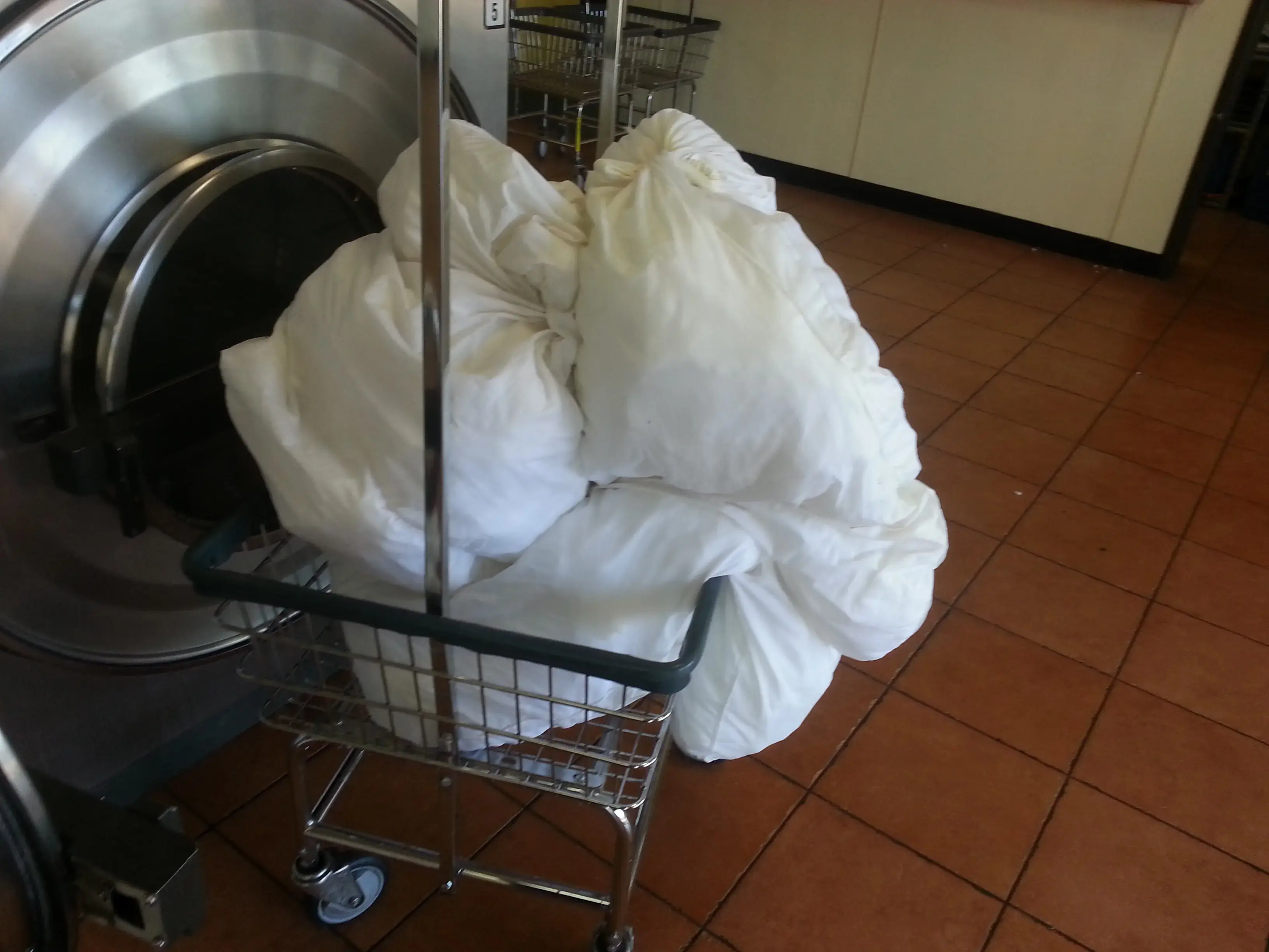 Santa Clarita Laundry - Image 19
