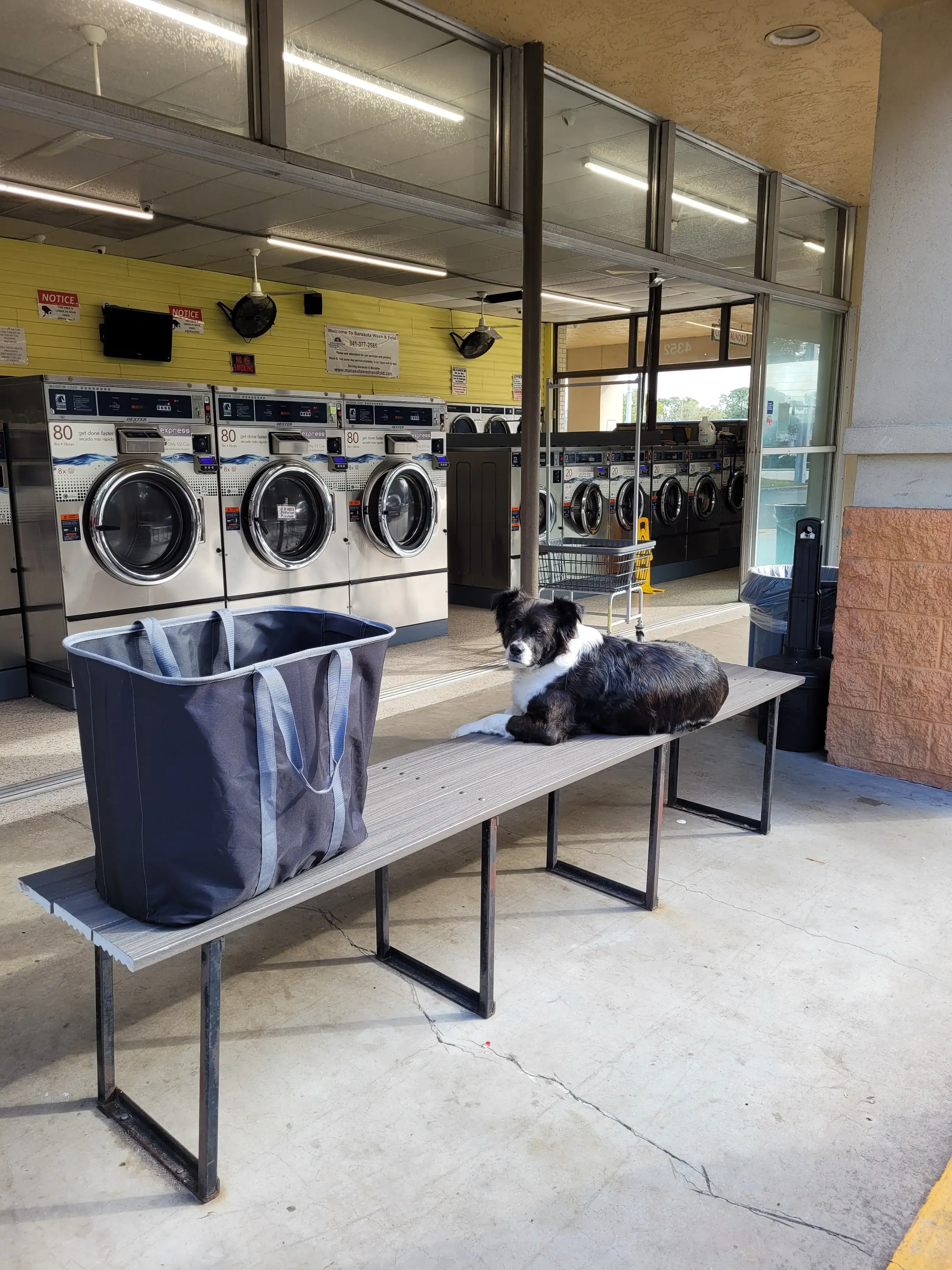 Sarasota Wash and Fold - Image 20