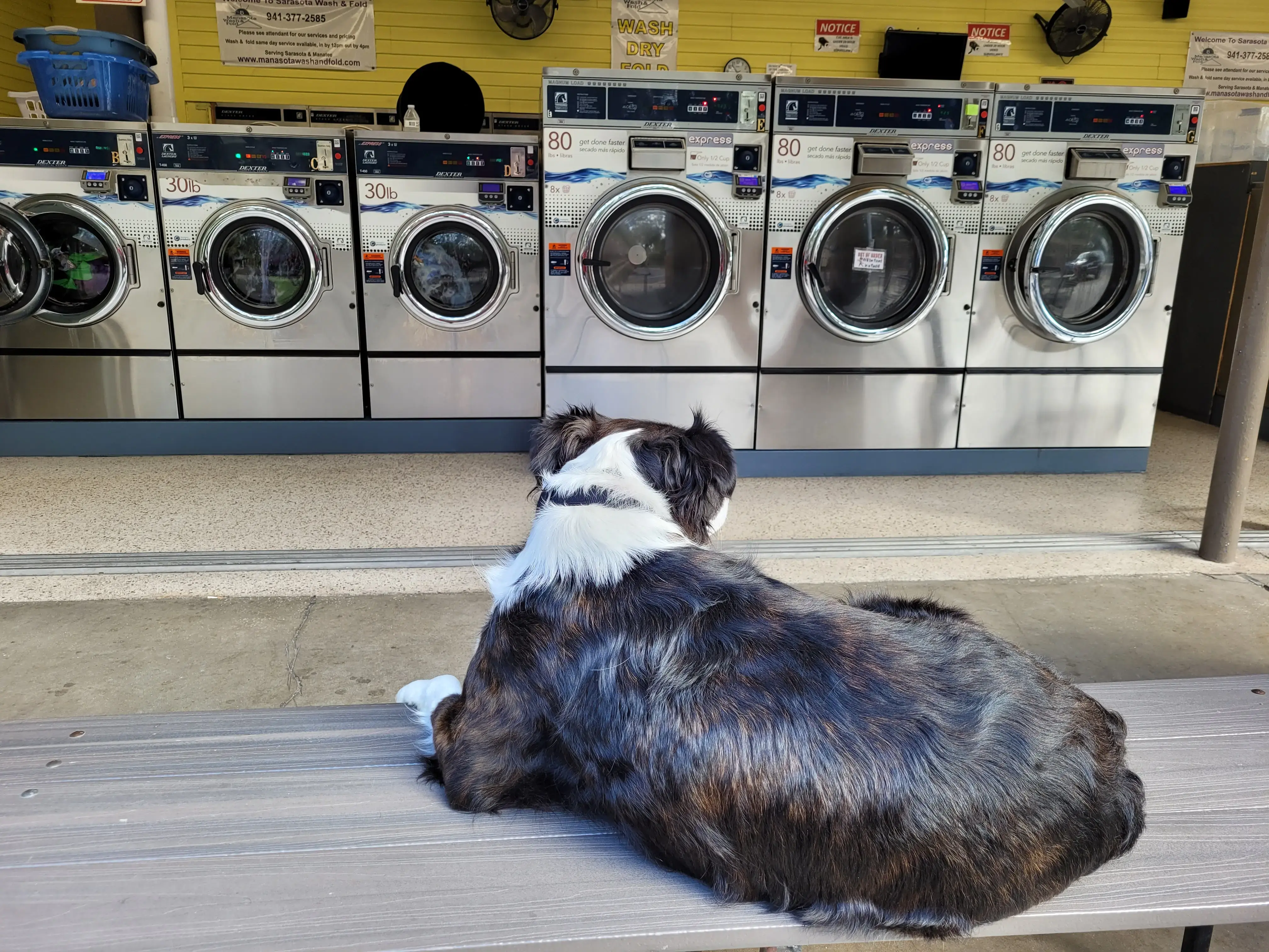 Sarasota Wash and Fold thumbnail 4