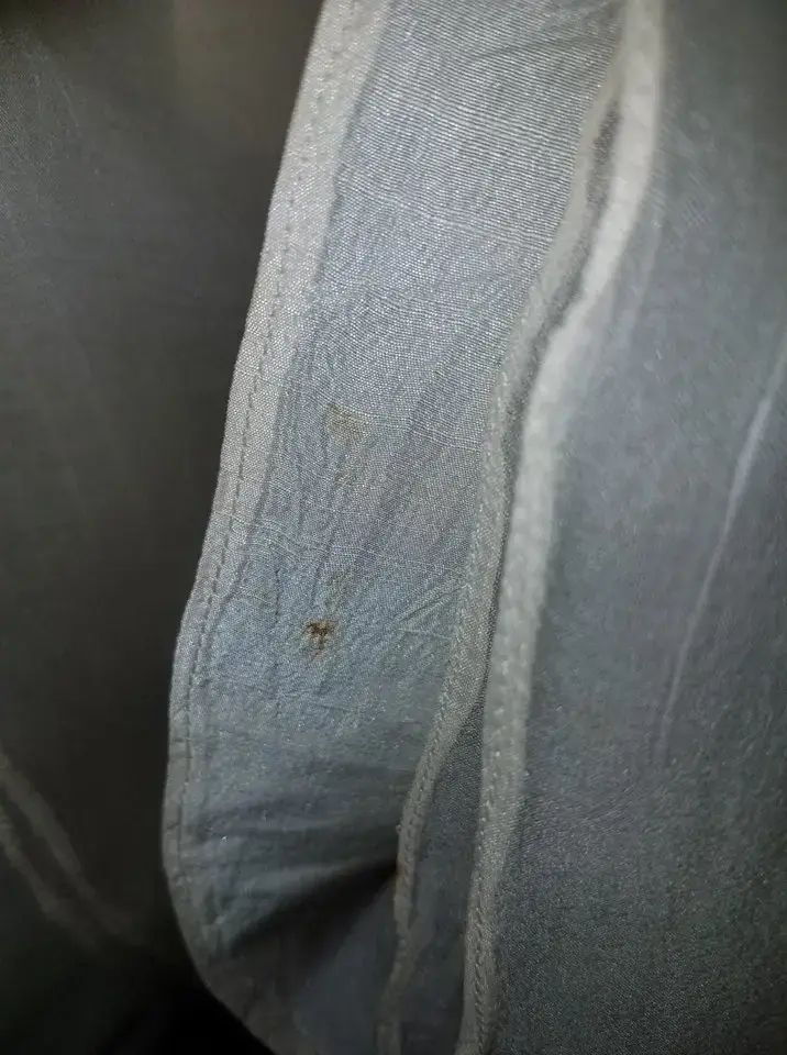 S&B CLEANERS INC thumbnail 15