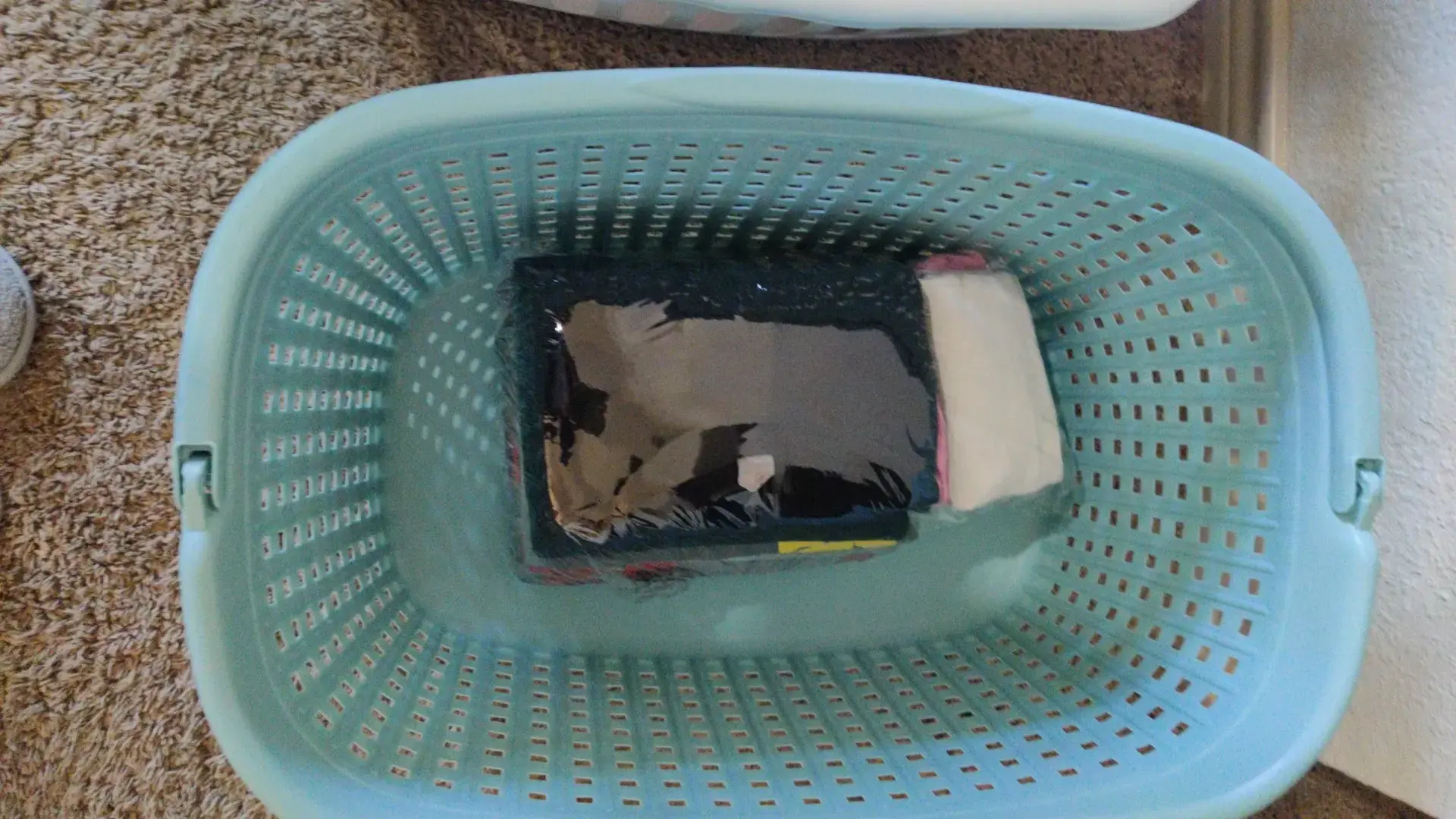 Scrub Board Laundry thumbnail 6