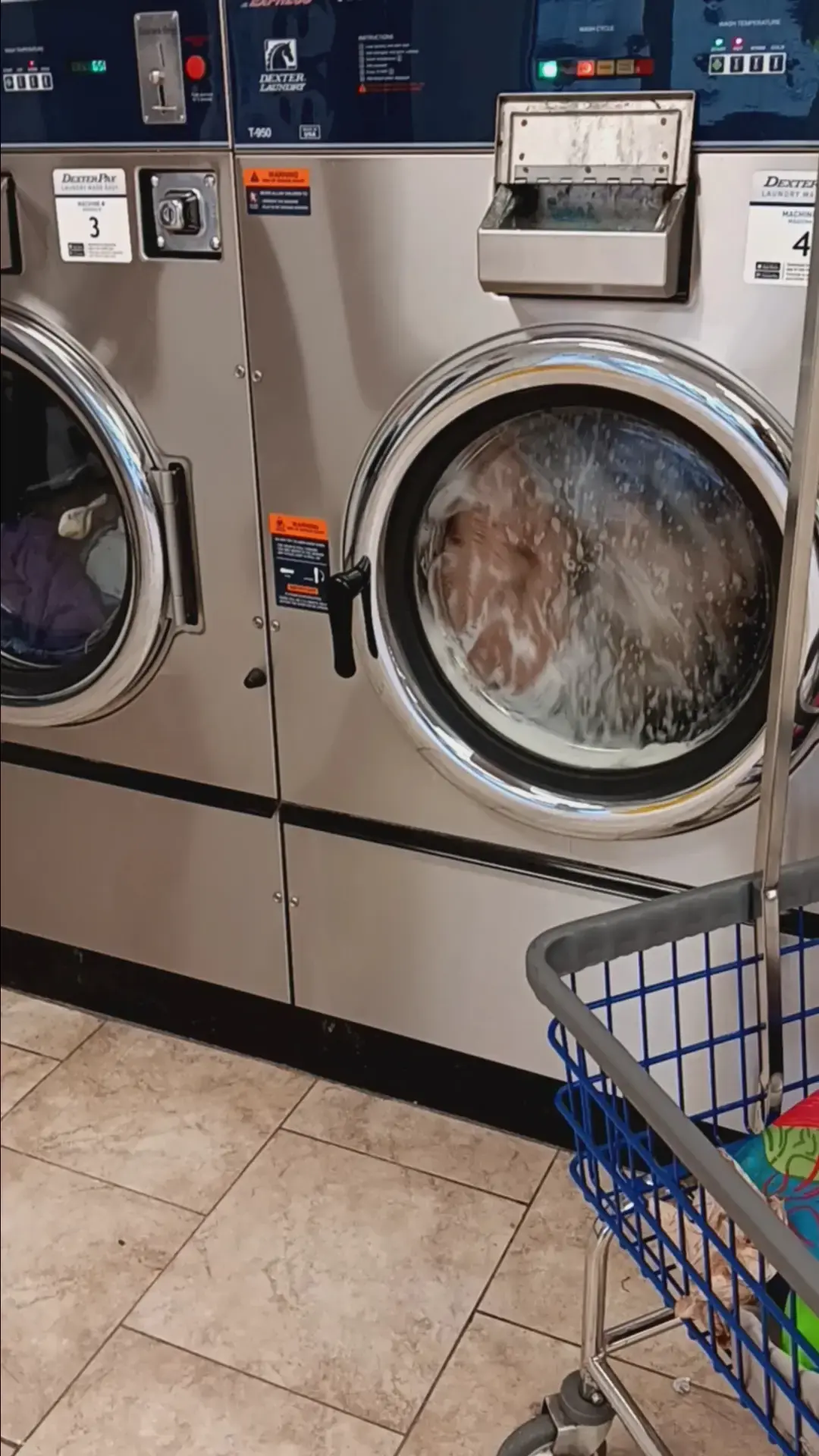 Scrub Tub Laundromat thumbnail 14