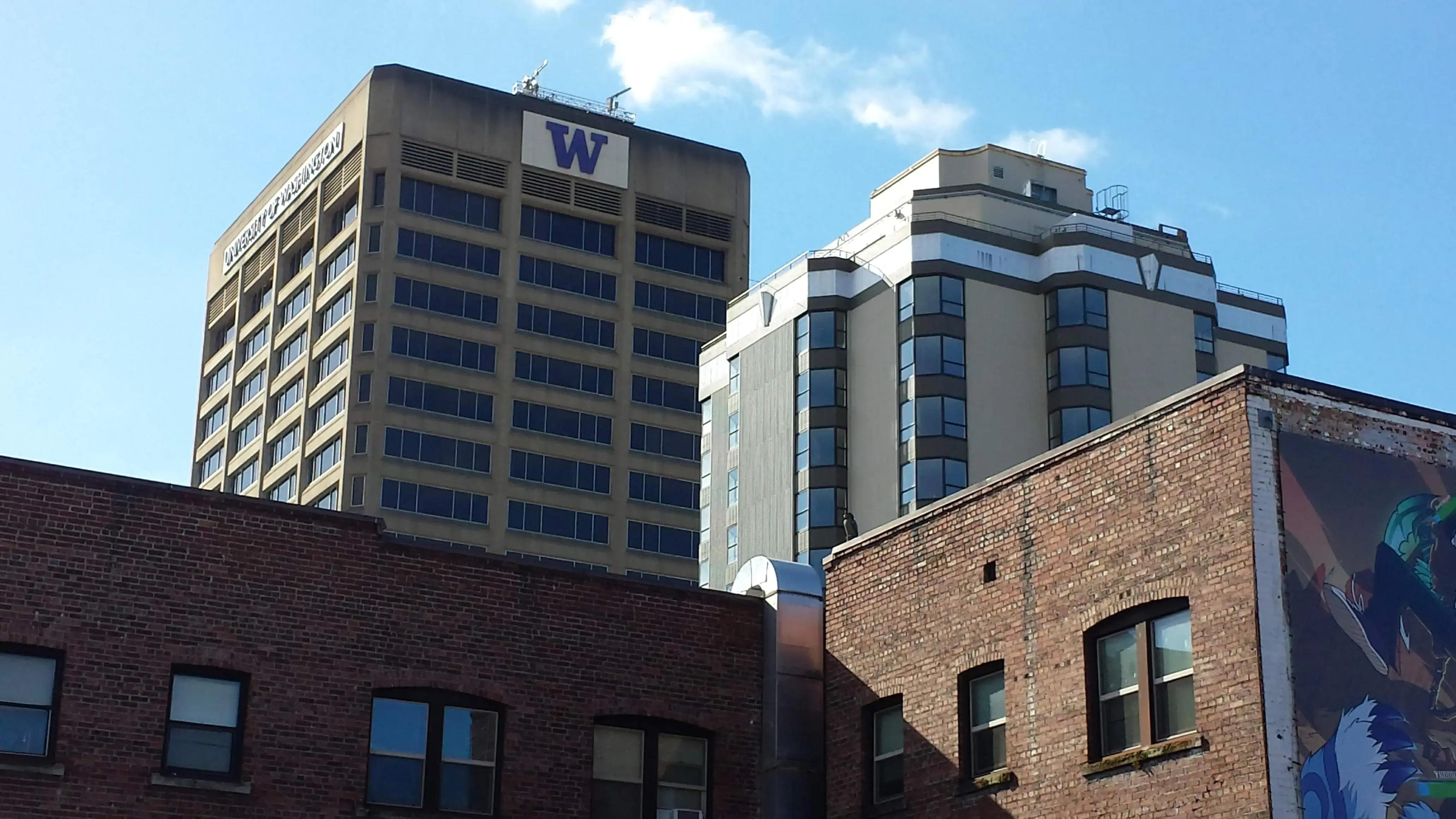 Seattle Laundry Service - Image 5