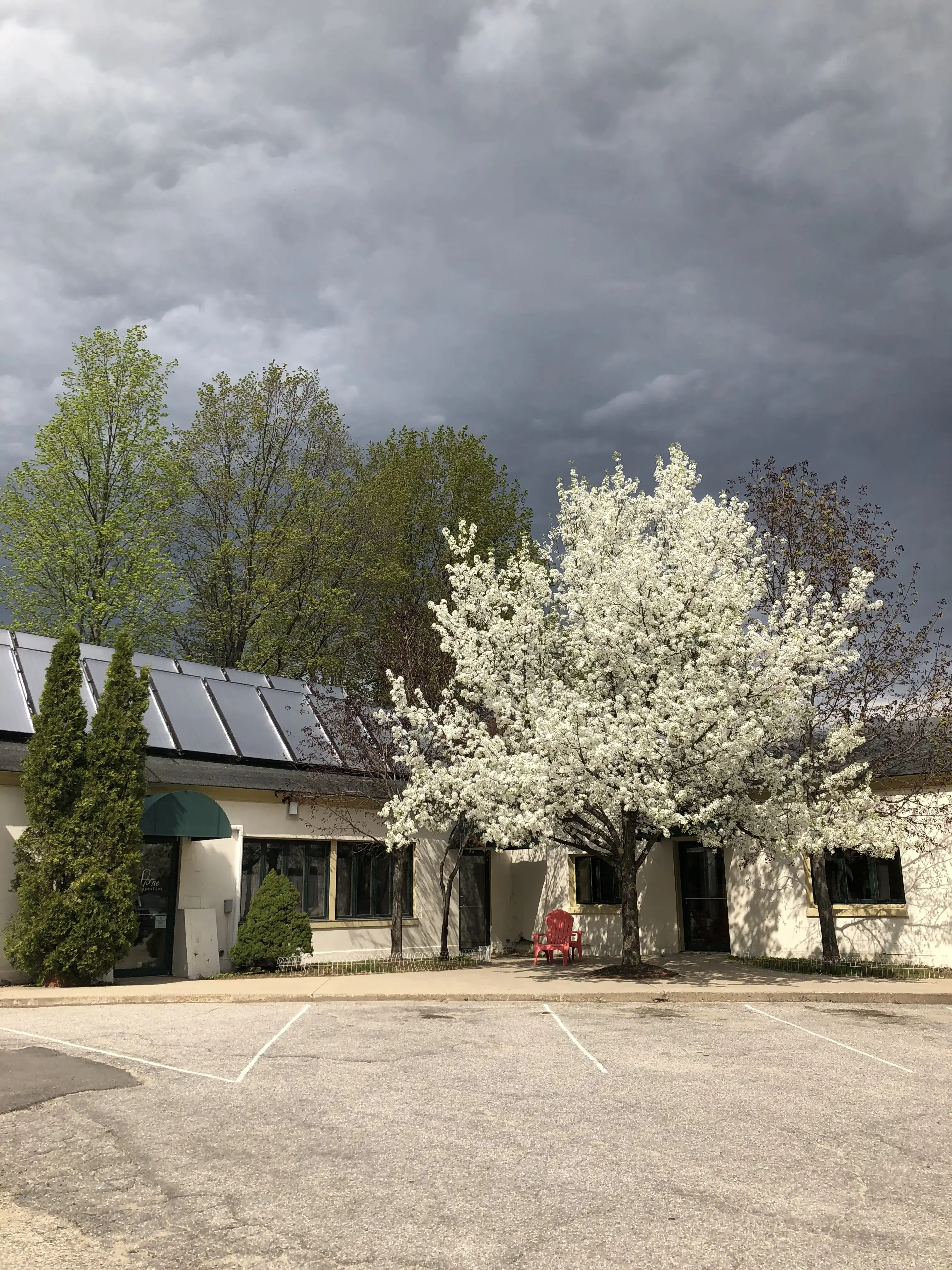 Seavey Street Laundromat - Image 3