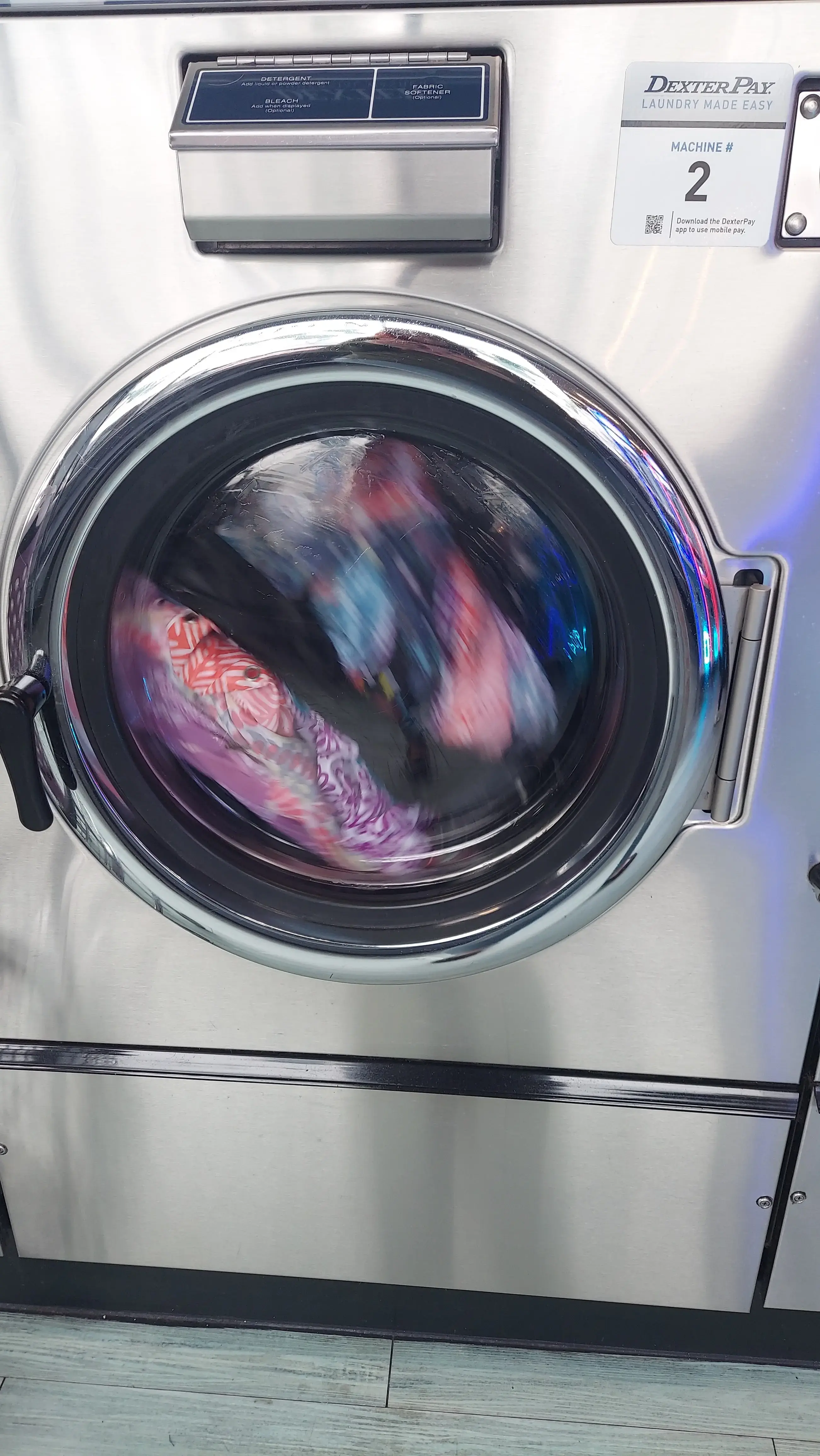 Sequoia Laundromat + Wash & Fold Laundry Co. thumbnail 17