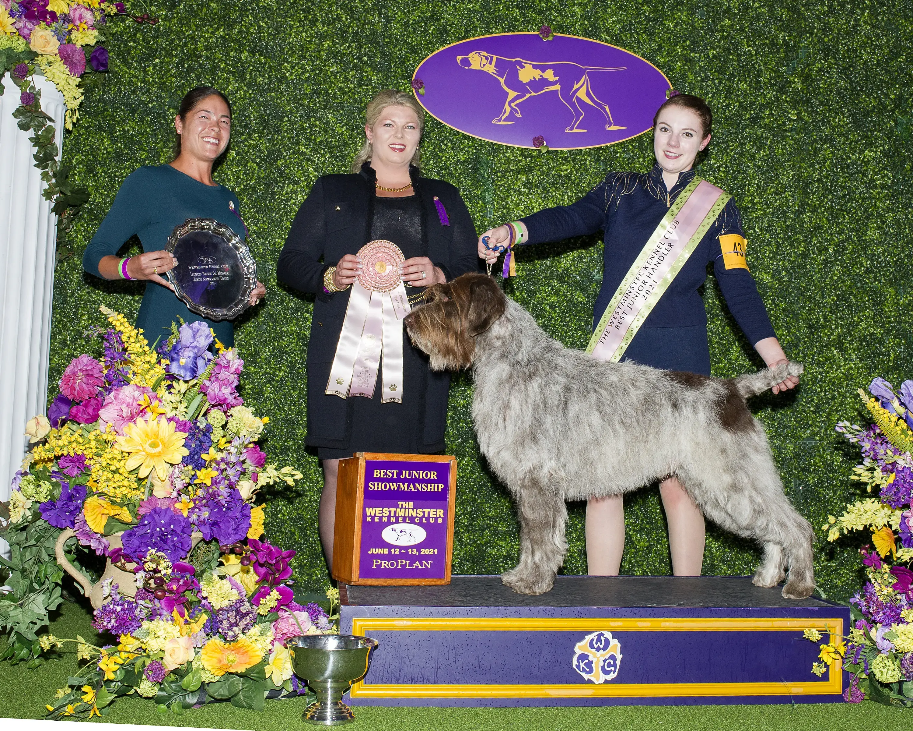 Service Cleaners thumbnail 4