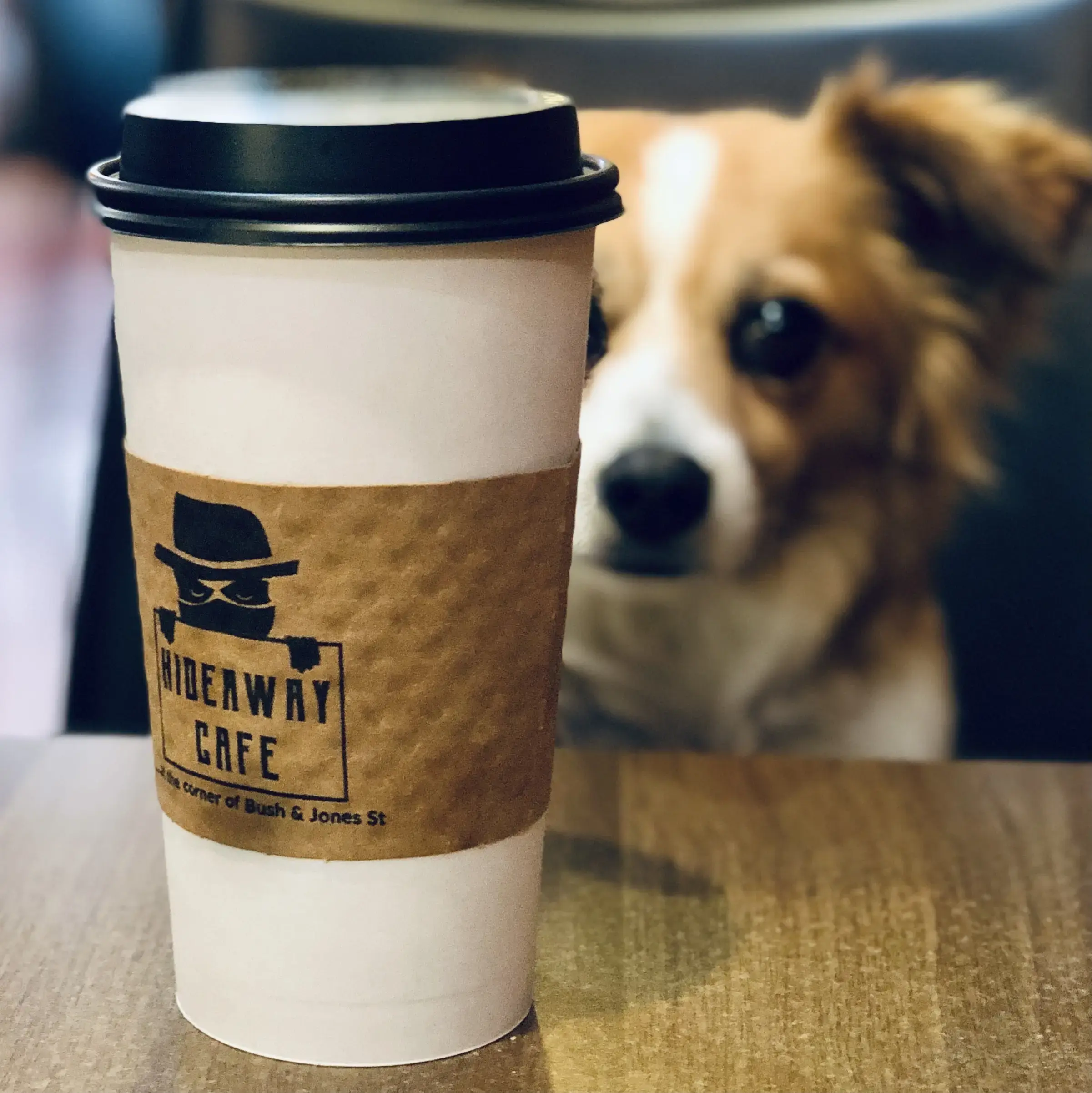 SF Laundromat thumbnail 19