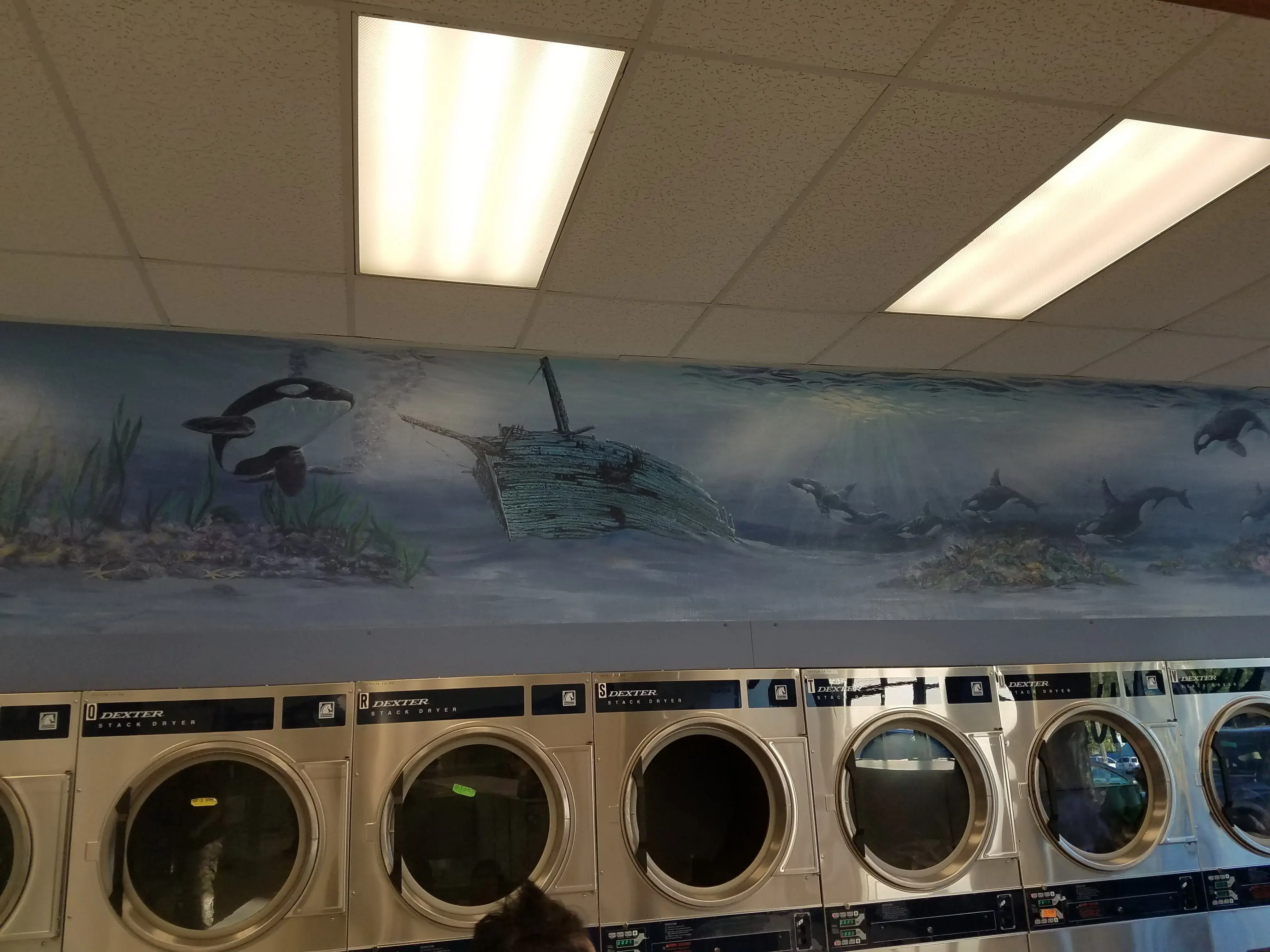 Shelton Laundry - Image 13