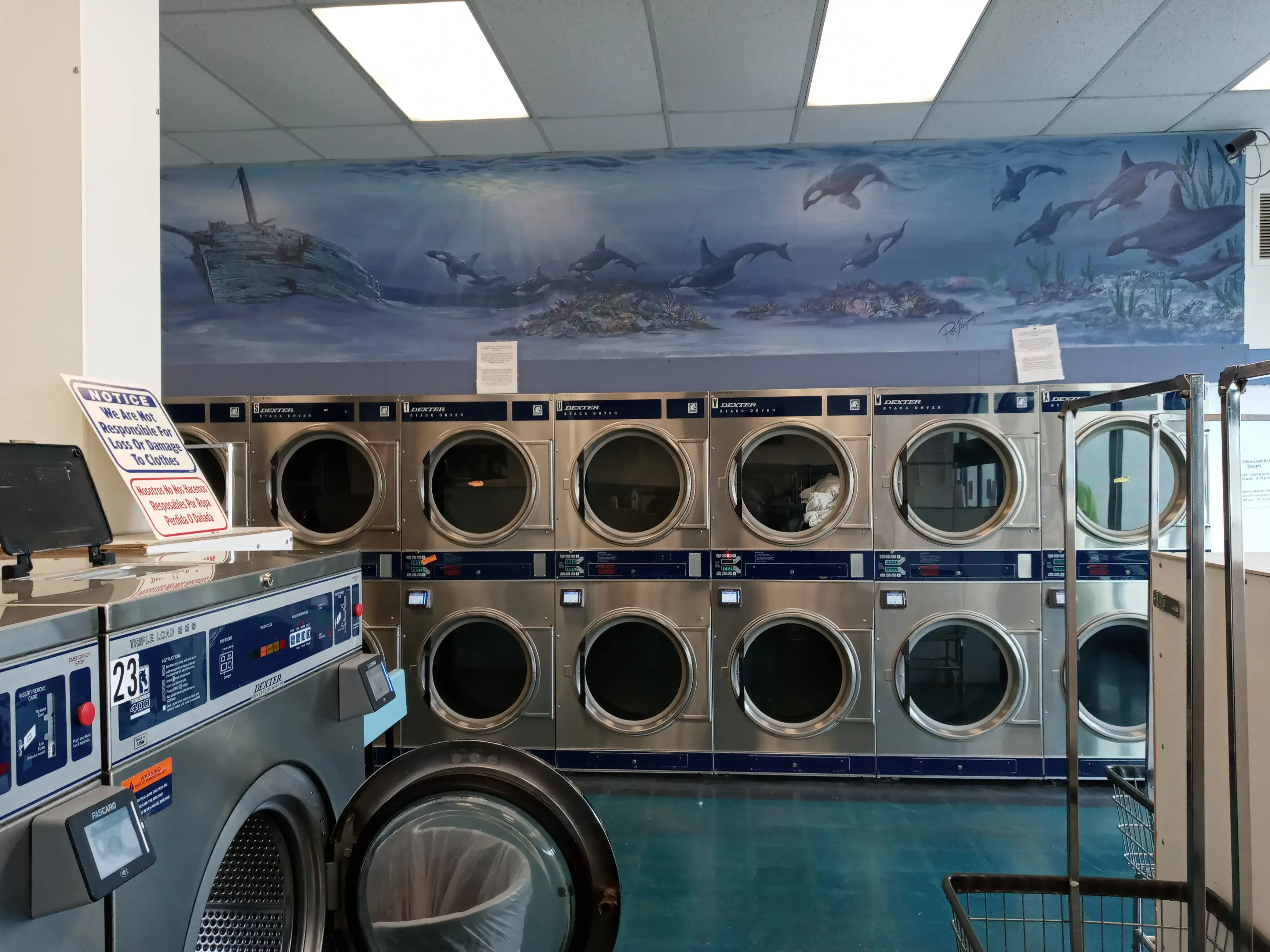 Shelton Laundry thumbnail 2