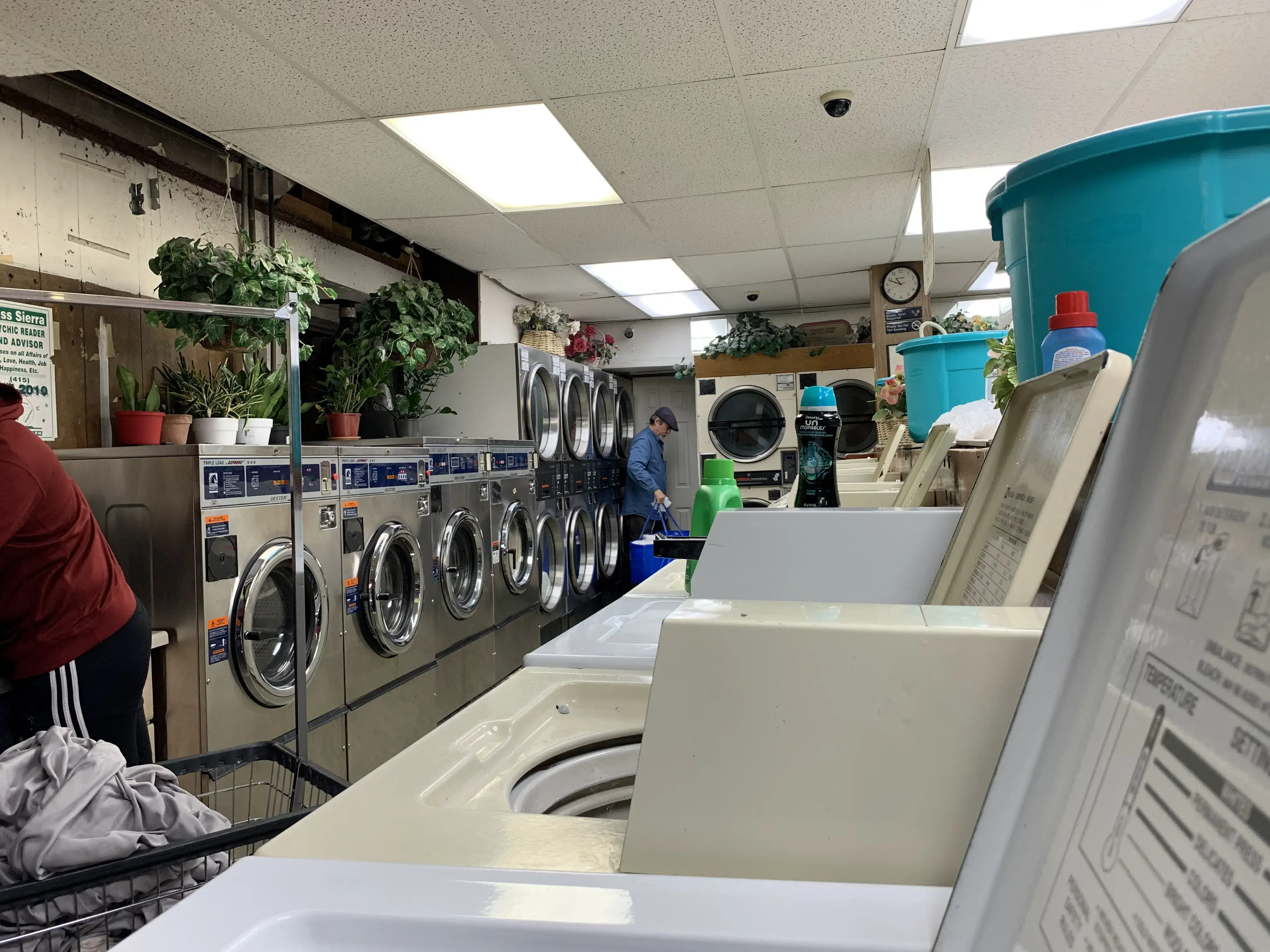 Shermsonia Laundromat thumbnail 3