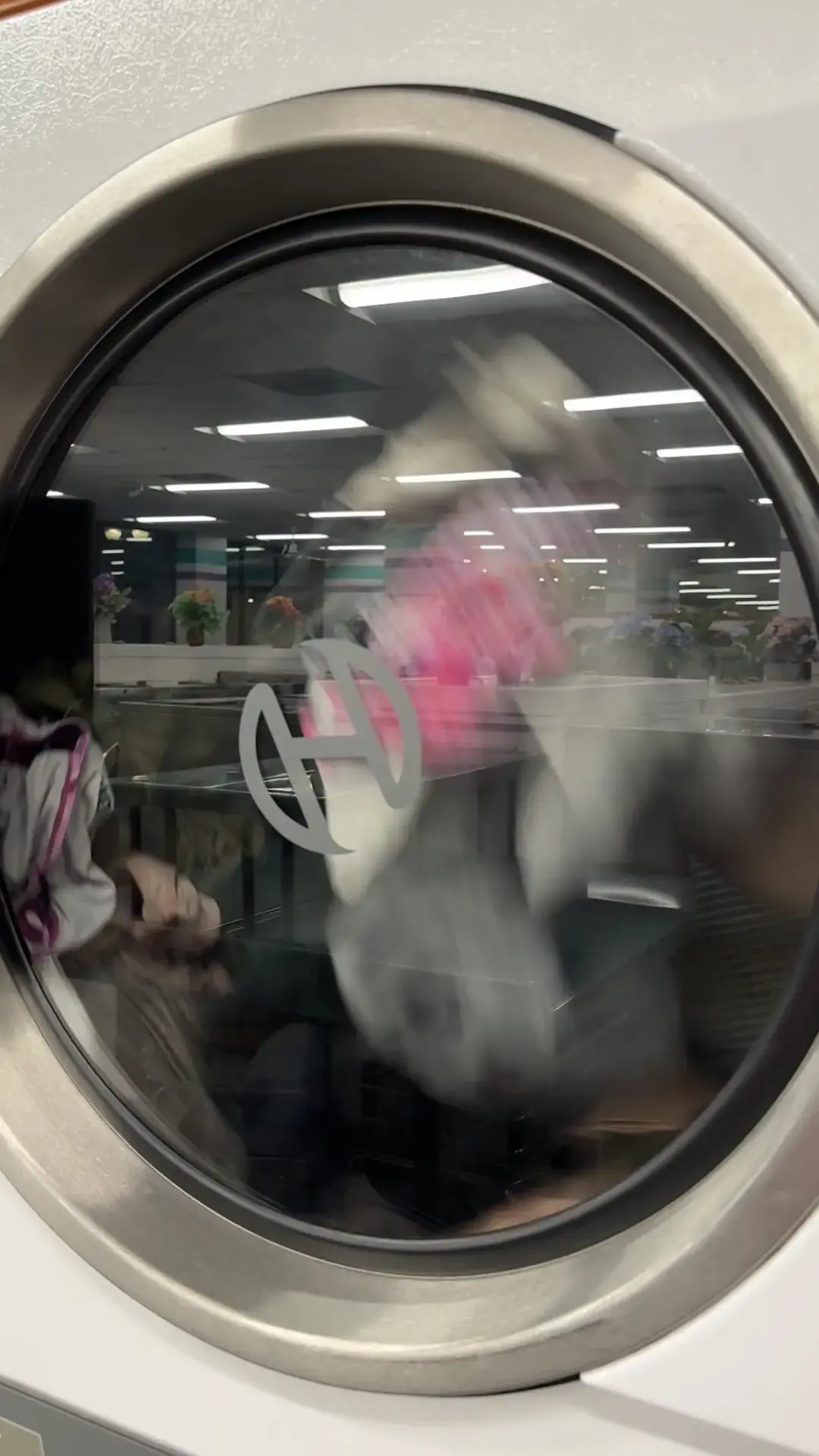 Showcase Laundromat thumbnail 16