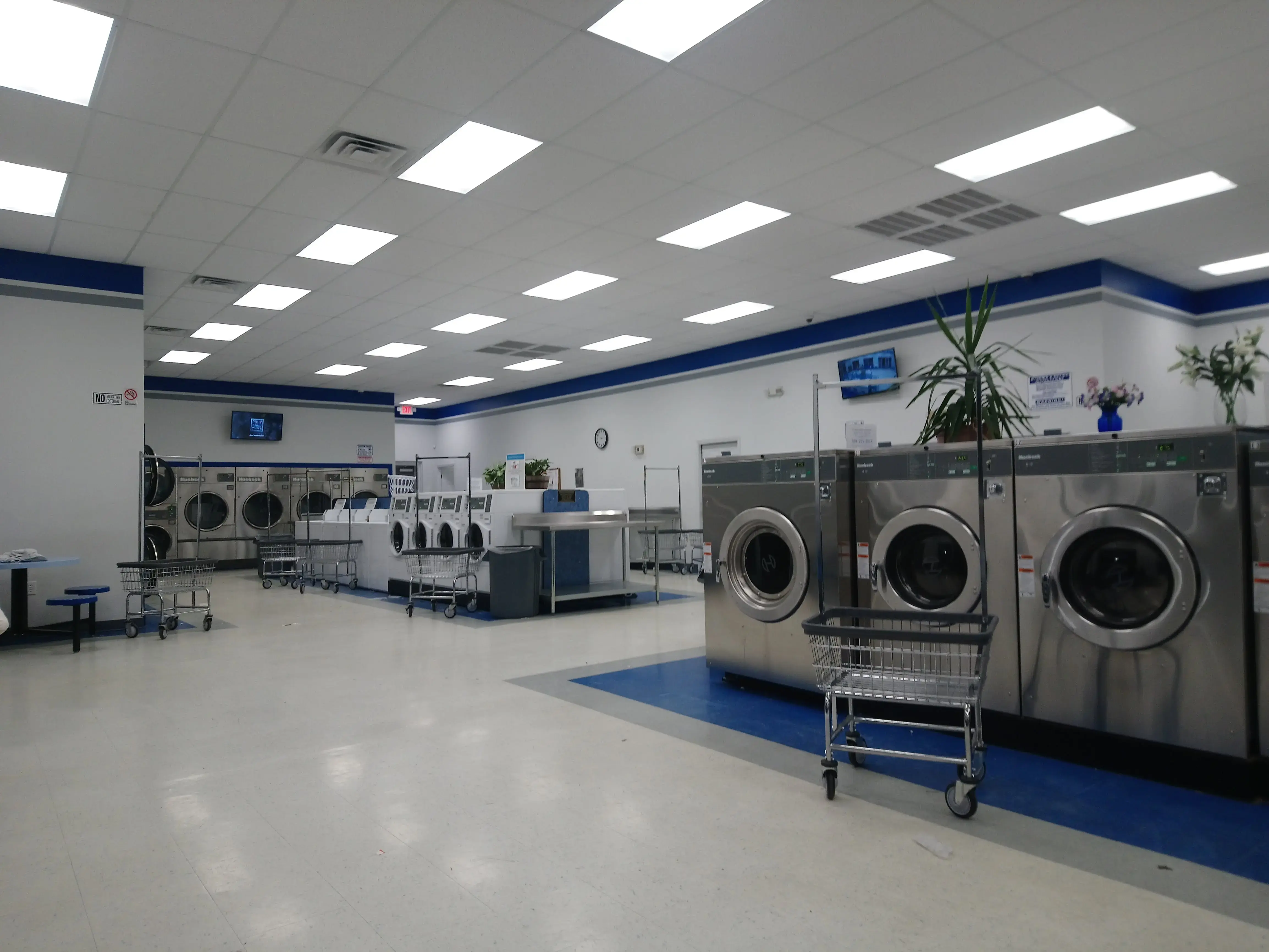 Silver Coin Laundry thumbnail 20