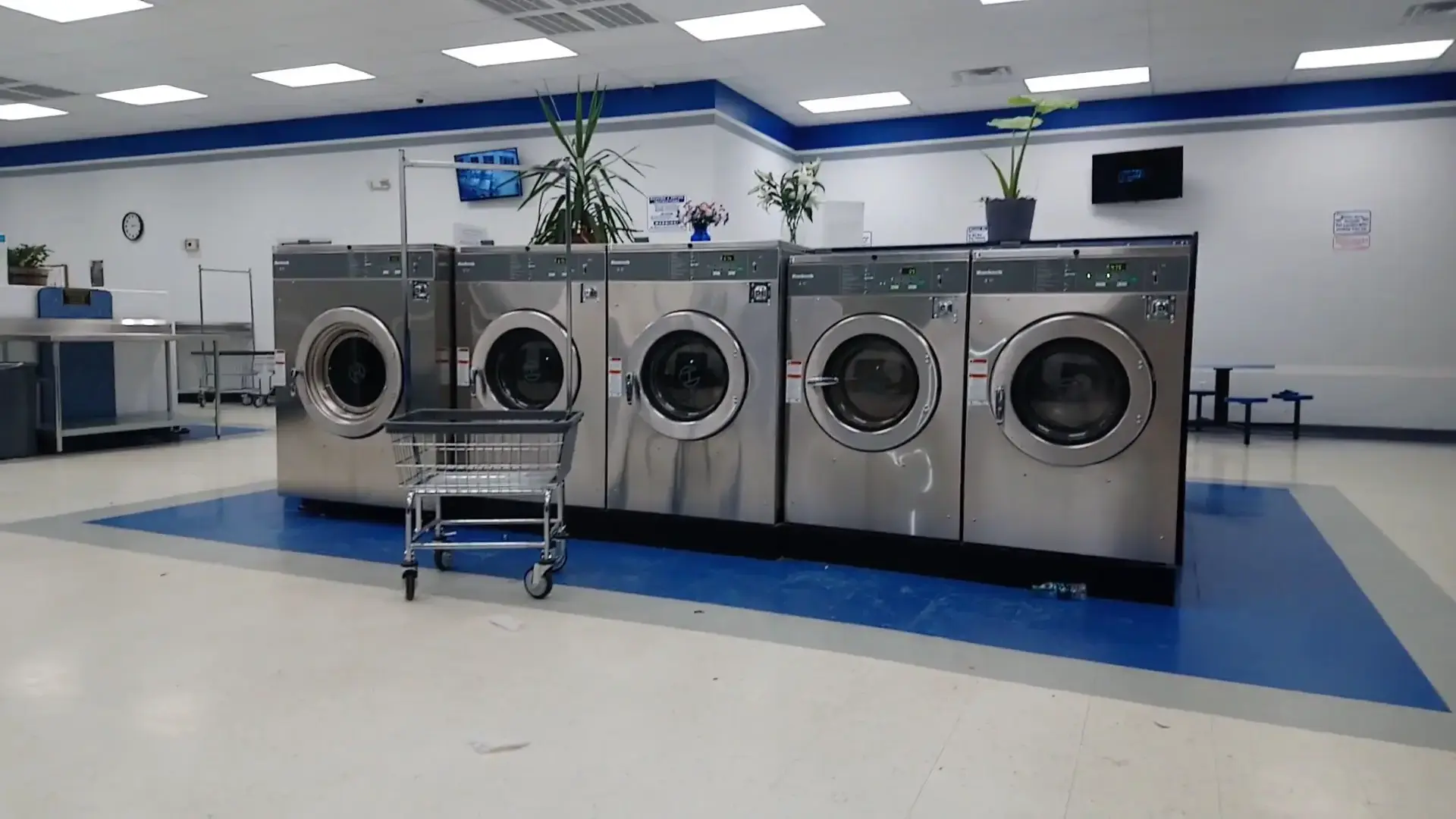 Silver Coin Laundry thumbnail 8