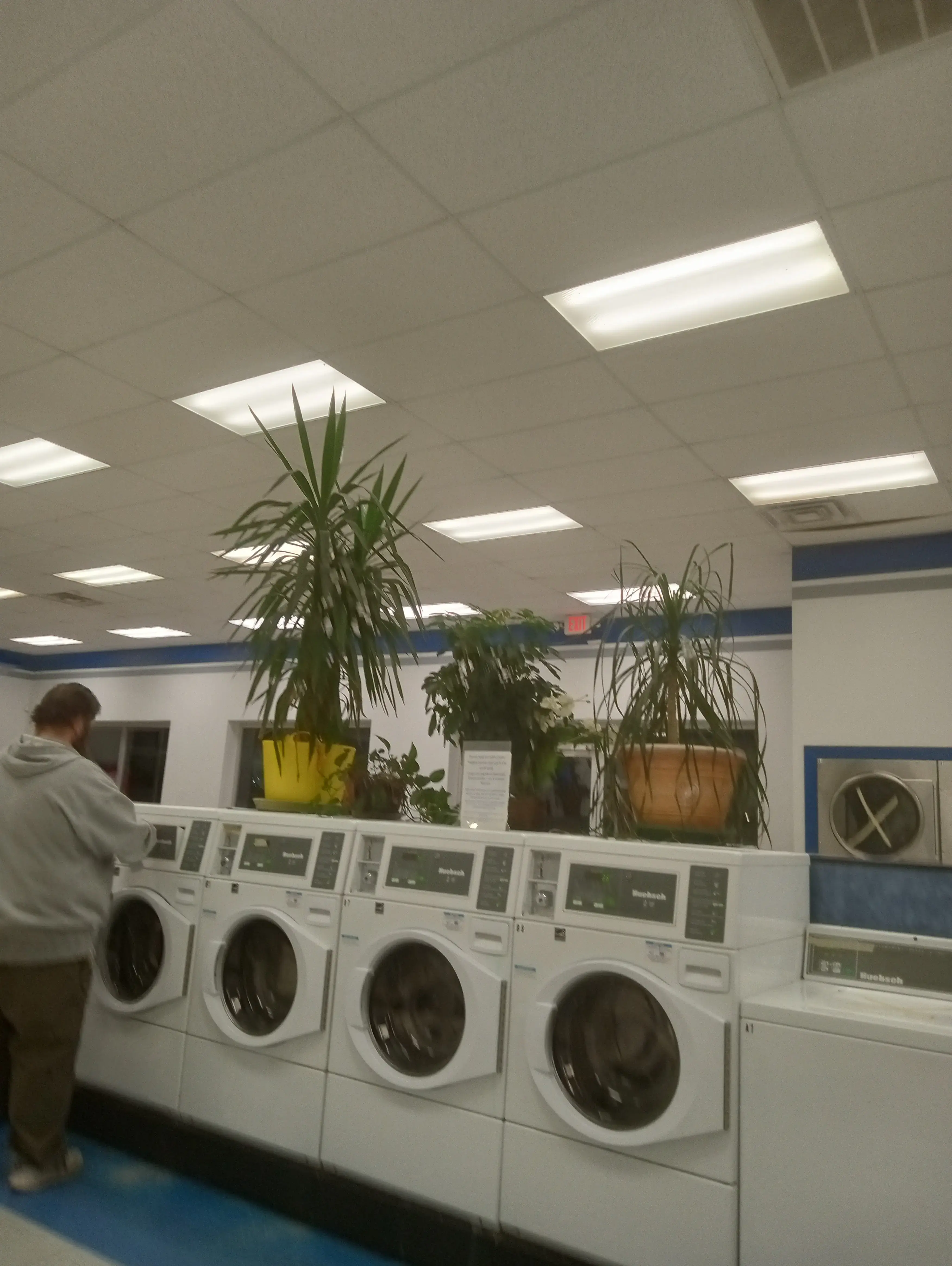 Silver Coin Laundry thumbnail 3