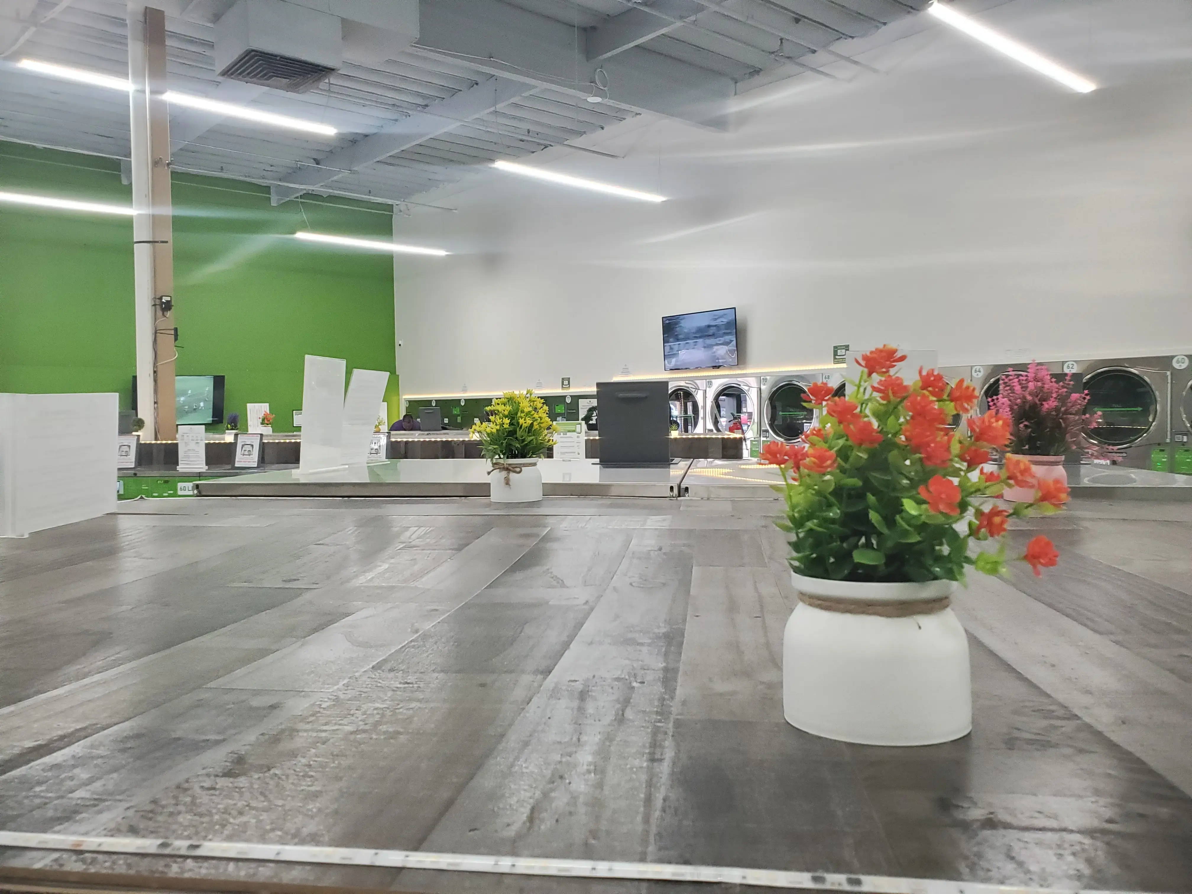 Simple Life Laundry thumbnail 14