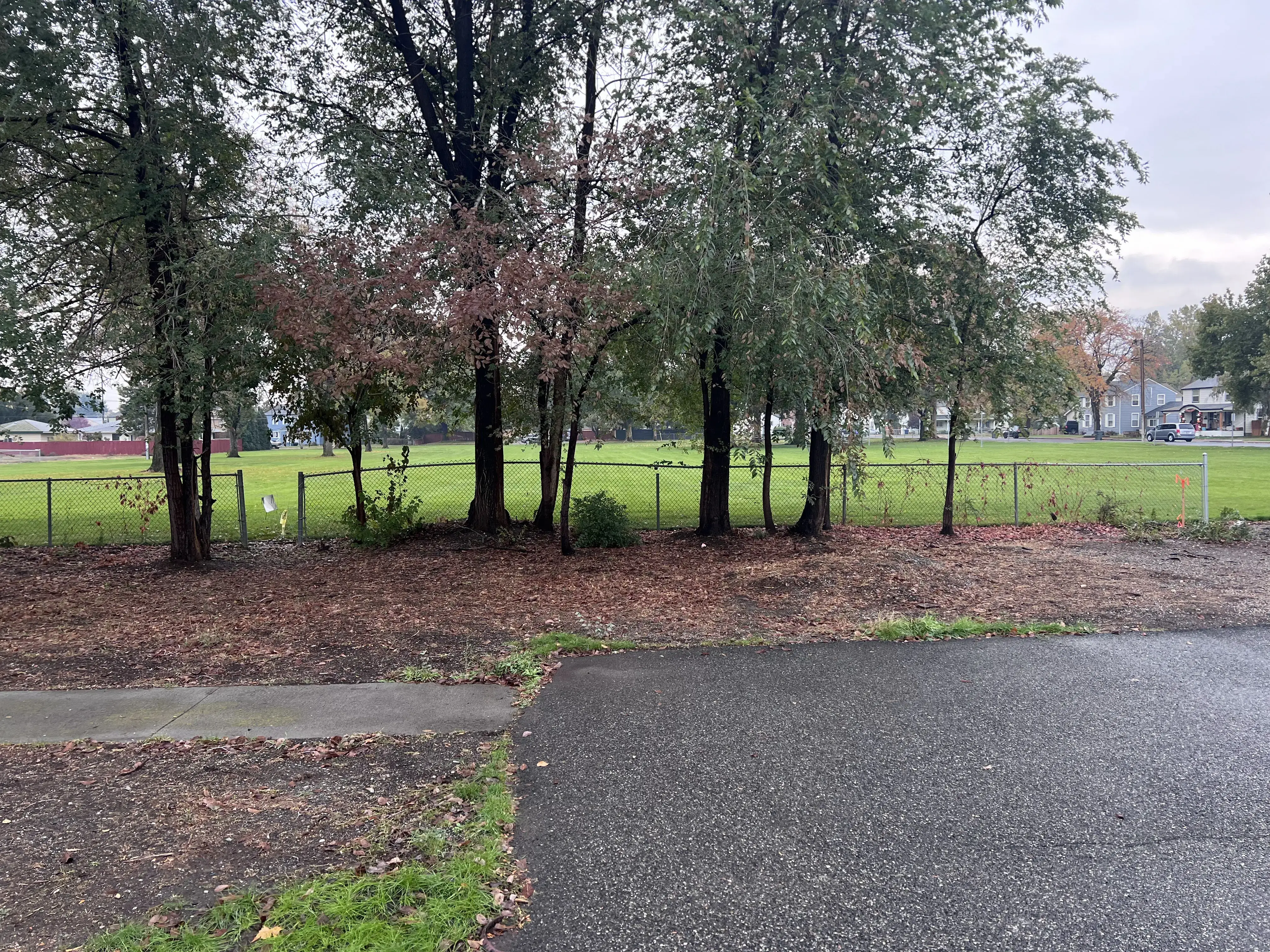 Sir Suds Laundry Co. thumbnail 8