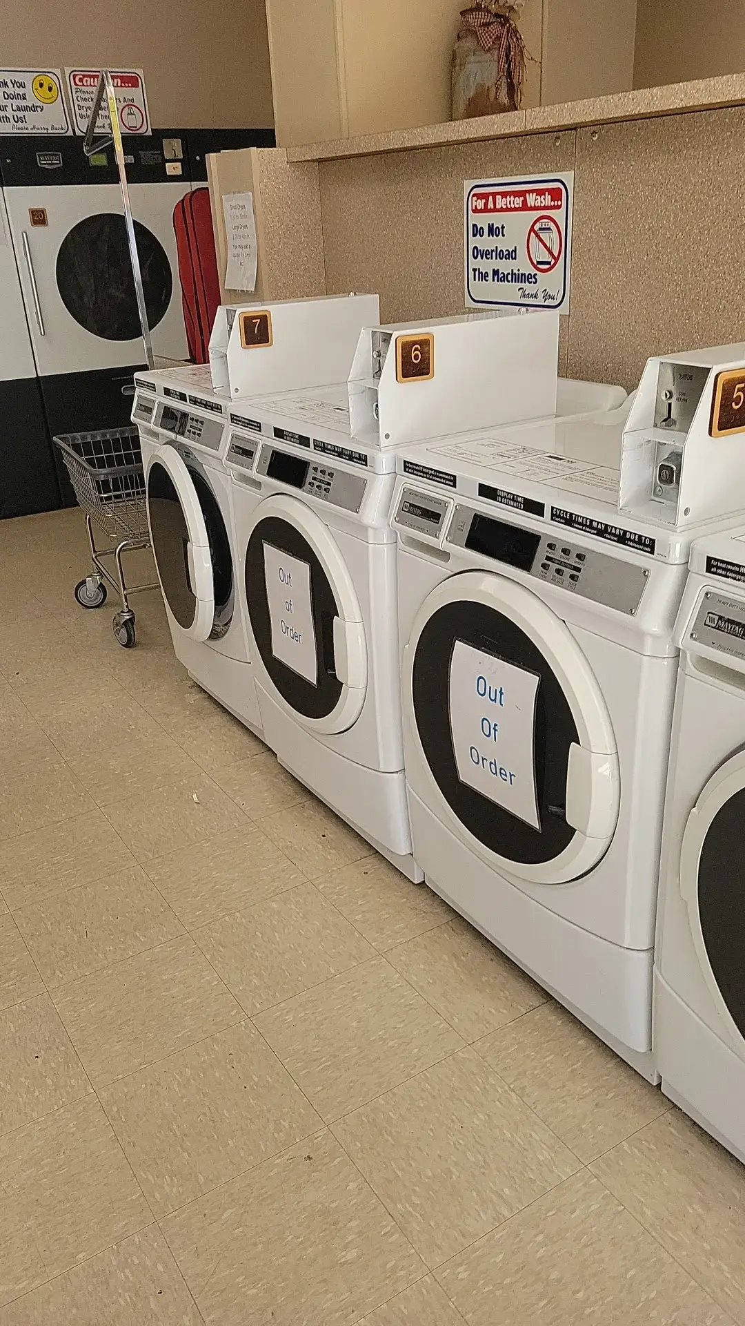 Sis's Clothes Spin - Image 5