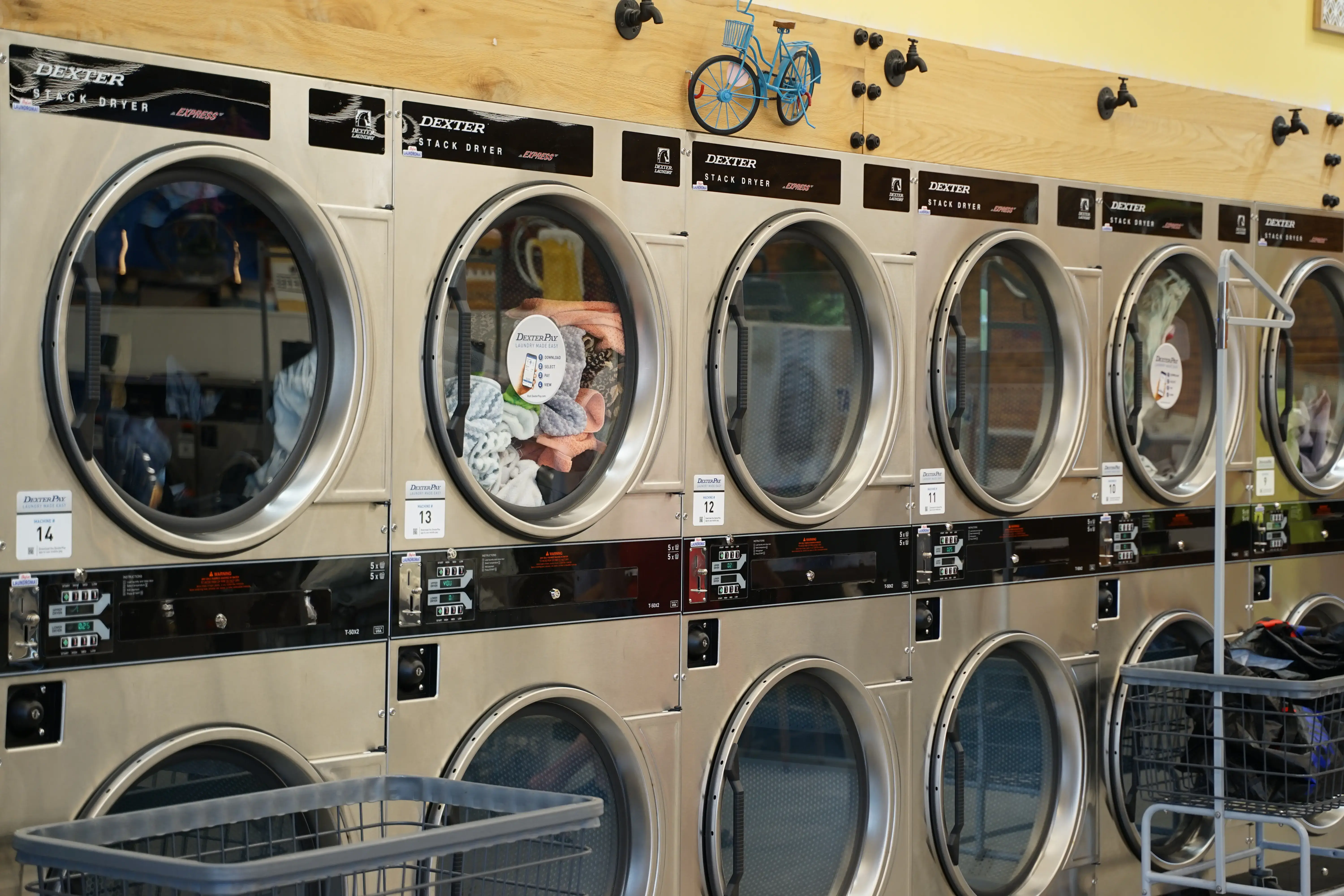 Skylar Laundromat of Berkley - Image 5