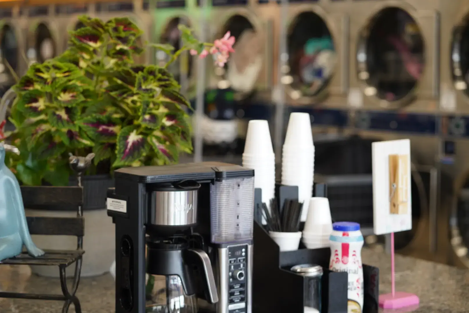 Skylar Laundromat of Oak Park - Image 18