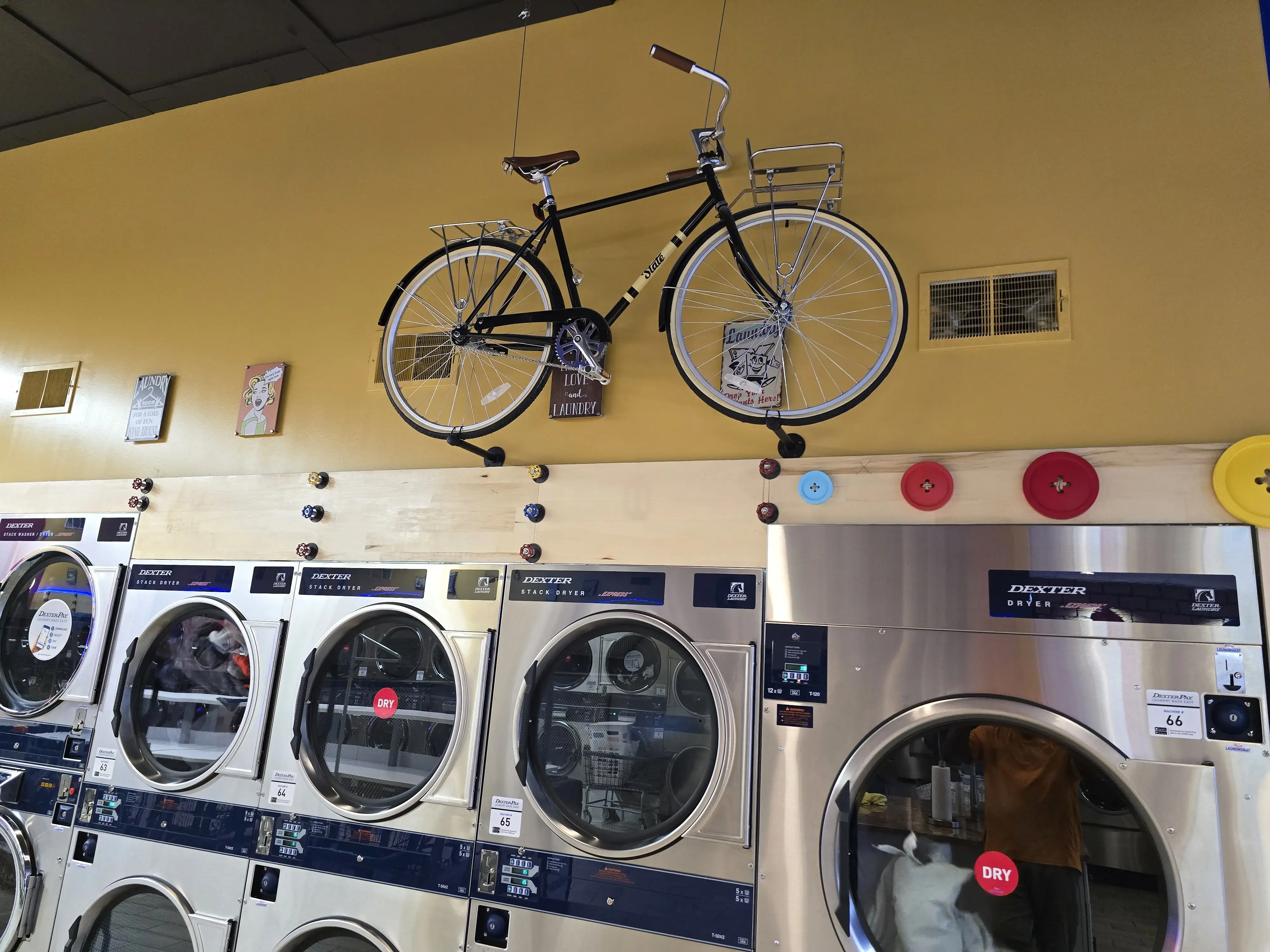 Skylar Laundromat of Westland thumbnail 4