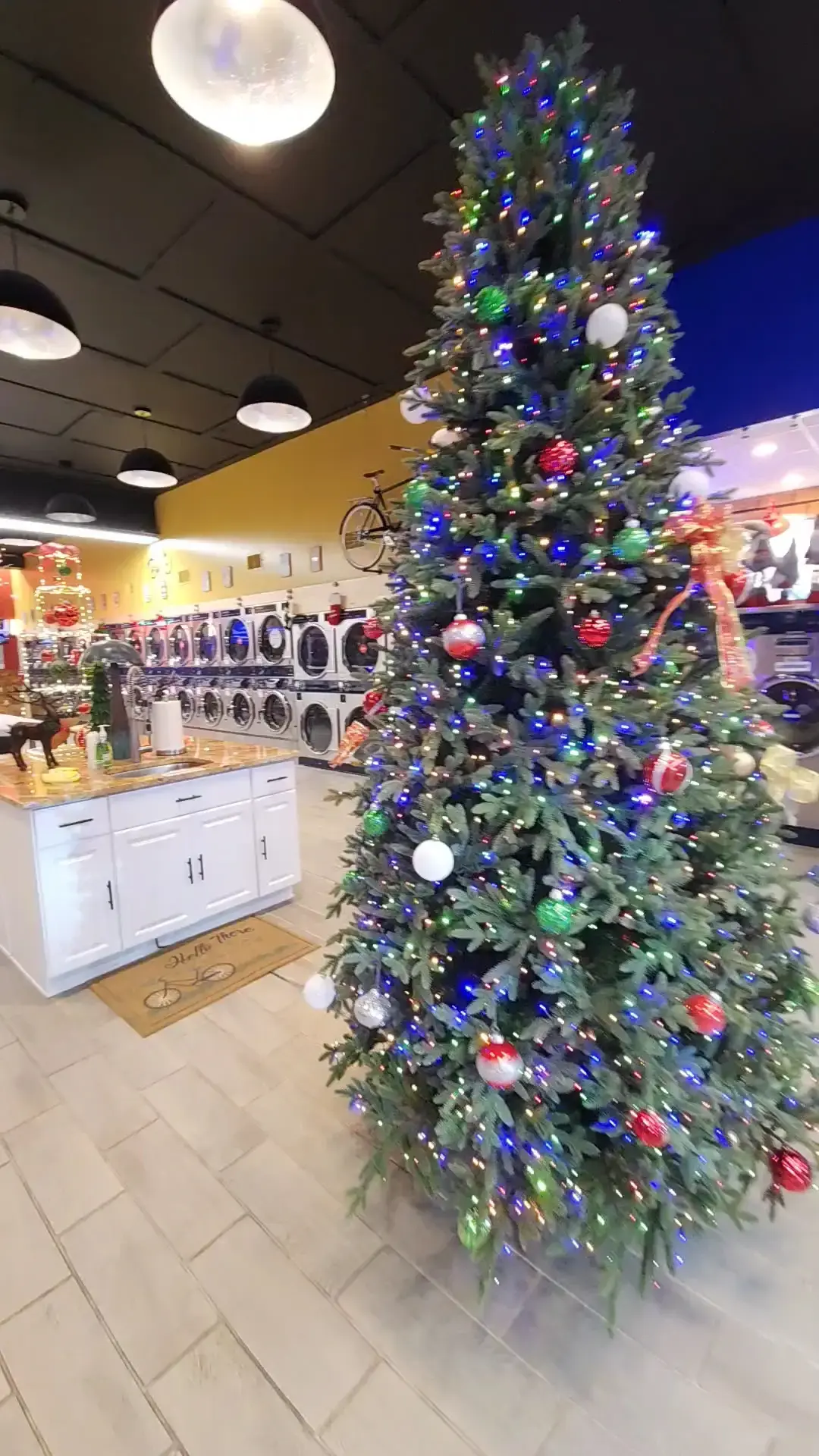 Skylar Laundromat of Westland - Image 14